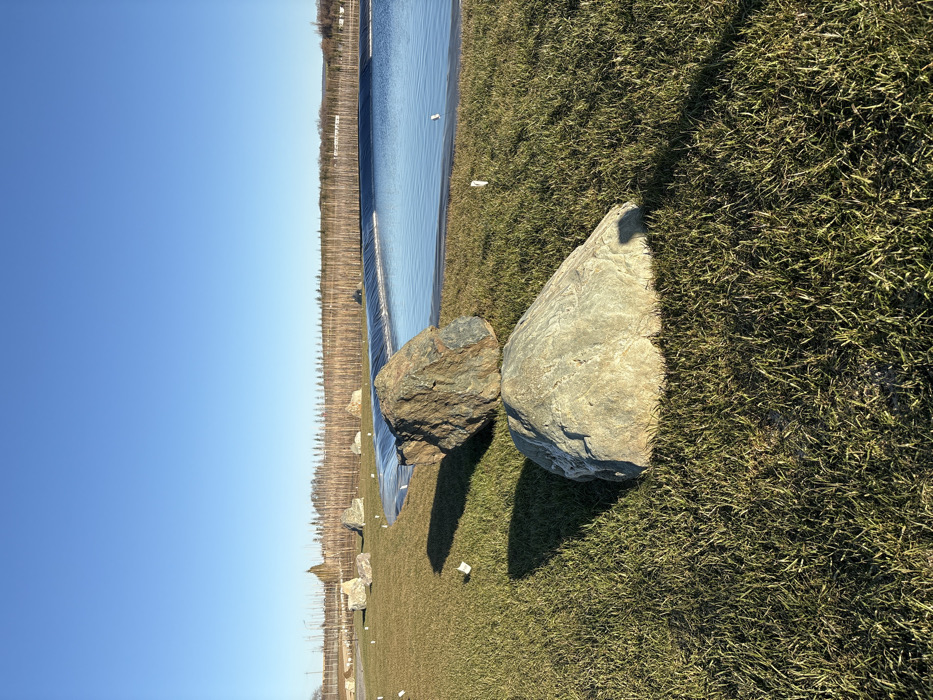 This image depicts an outdoor scene in Зеленогорское сельское поселение, Ukraine, under clear daylight with a bright blue sky. In the foreground, two large rocks are prominently displayed on a sparse green grass field; a dark, irregularly shaped rock is situated on top of a larger, lighter, more rounded rock. To the right of these rocks, an artificial pond or reservoir, lined with black sheeting, stretches into the mid-ground, containing still water that reflects the sky. Scattered across the grass in the mid-ground are several other large, irregularly shaped rocks, along with numerous small white markers embedded in the ground. In the background, a dense line of bare trees or saplings forms a horizontal barrier, indicating a cultivated area or boundary. No individuals or animals are present in the frame.