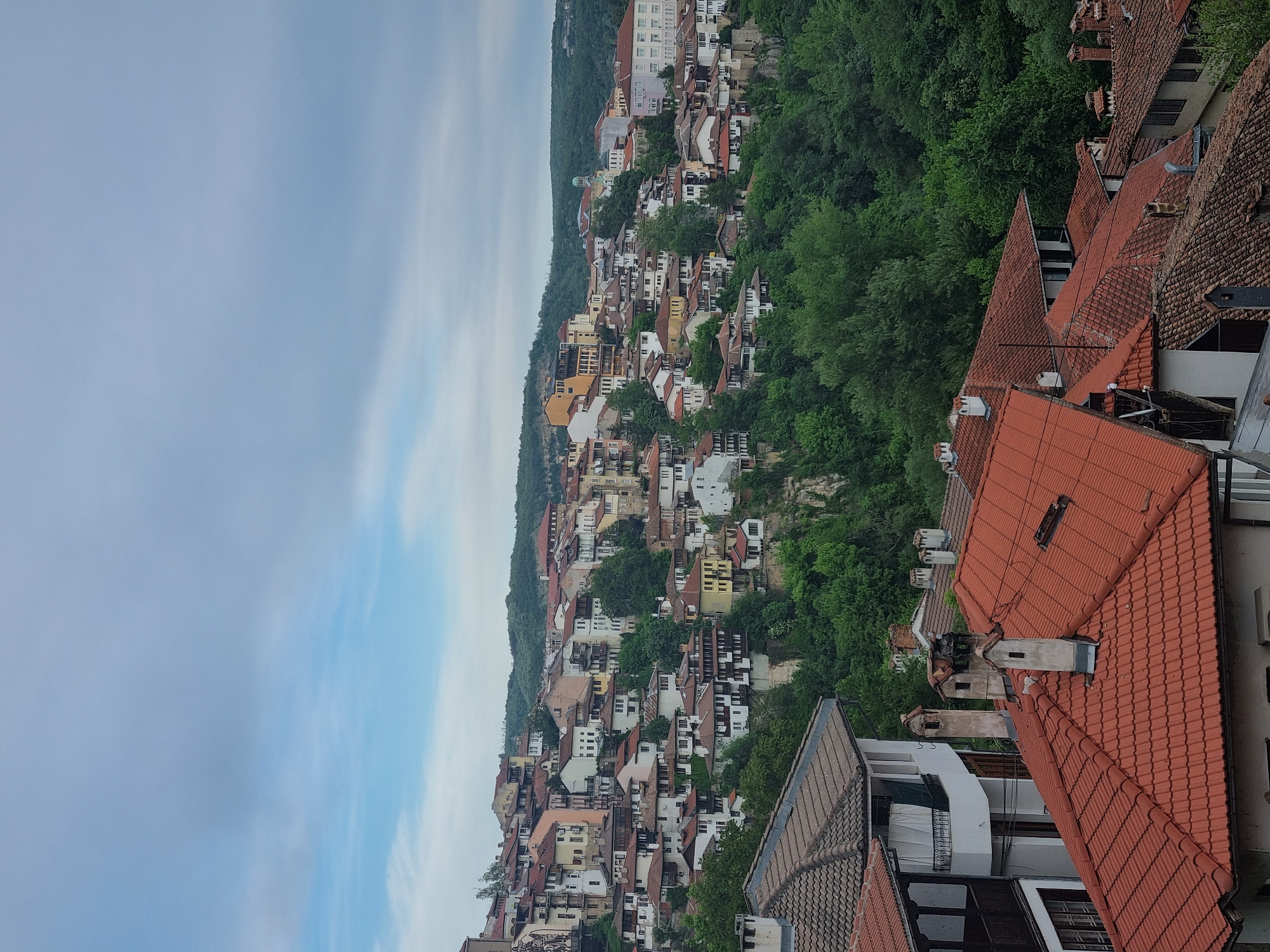 The image shows an urban landscape in Veliko Tarnovo, Bulgaria. The scene is dominated by a hillside densely populated with buildings. The buildings have a variety of architectural styles, with many featuring red-tiled roofs. Lush green trees interspersed among the buildings suggest a blend of nature and urban development. The sky is overcast. In the foreground are rooftops of buildings with red terracotta tiles.