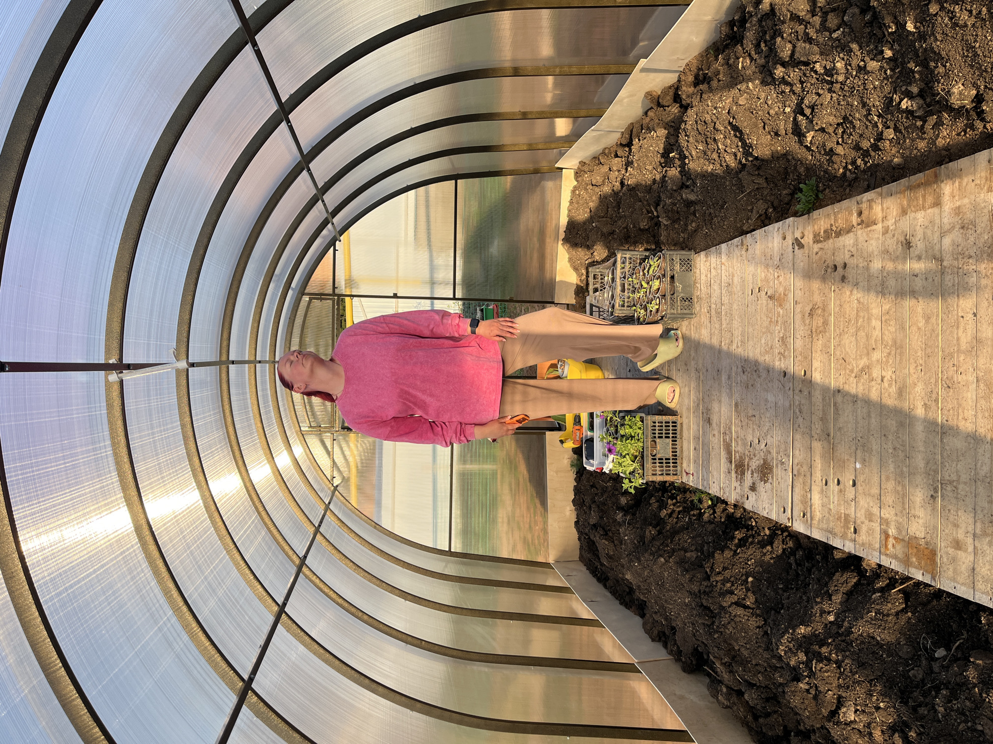 A person in a pink long-sleeved shirt and tan pants stands in a greenhouse in Chaikovsky, Russia. The greenhouse is a tunnel-like structure with a translucent roof made of arched panels. The person is looking upwards towards the roof of the greenhouse. To their right are piles of dark soil along a wooden walkway. Two crates filled with small plants are also visible near the walkway.