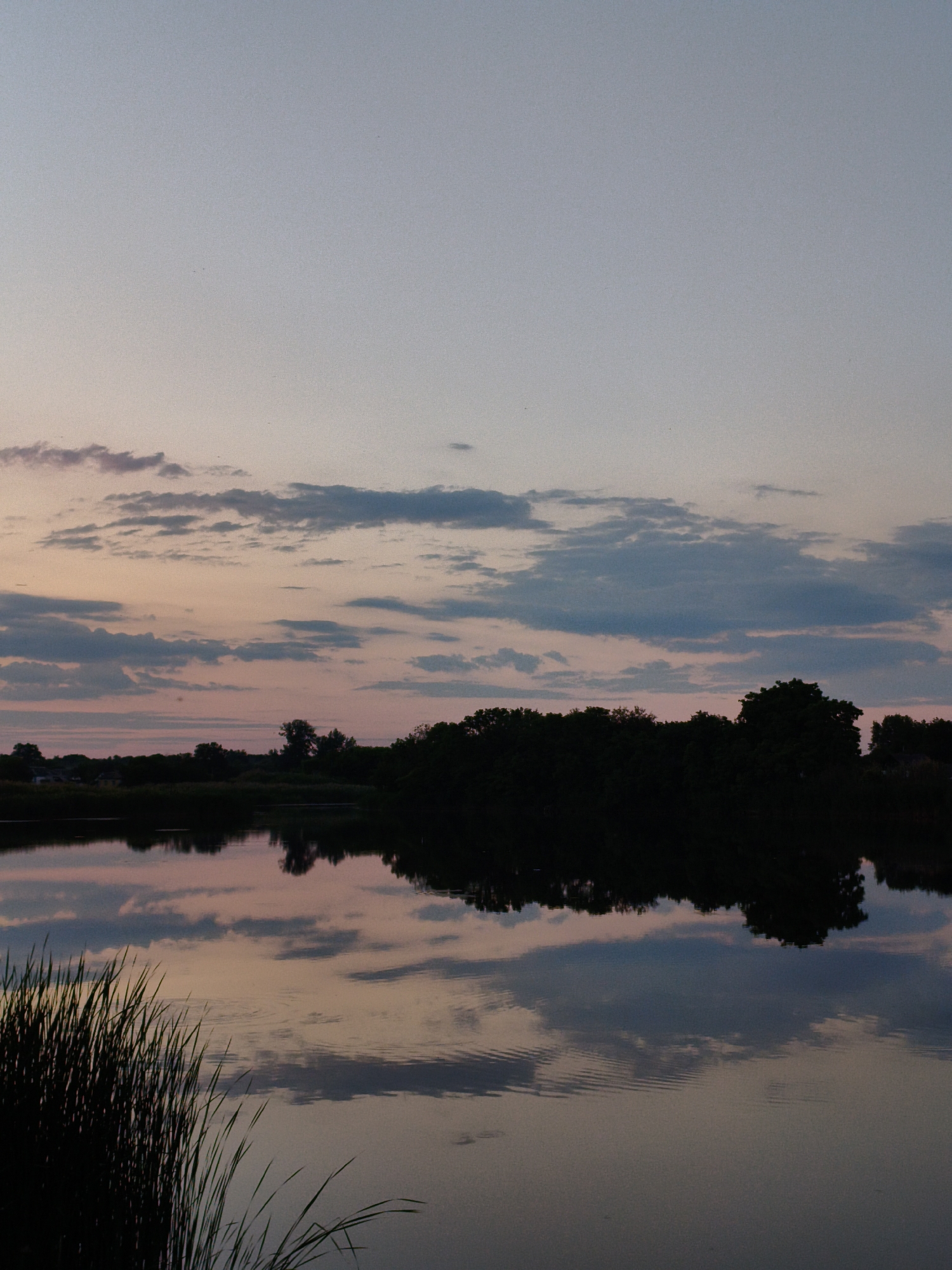 This is a vertical, eye-level, outdoor photograph of a tranquil lake at dusk. The sky transitions from a light blue at the top to hues of pink and gray near the horizon, populated by scattered, wispy clouds. A silhouetted treeline runs horizontally across the mid-ground, with reflections of the sky and trees visible on the still surface of the water. In the foreground, on the left side, tall, dark reeds are silhouetted against the water. The overall atmosphere is serene and peaceful, suggesting a rural or natural setting, potentially within the city of Ustyvytsia, Ukraine. There are no people or animals visible in the image.