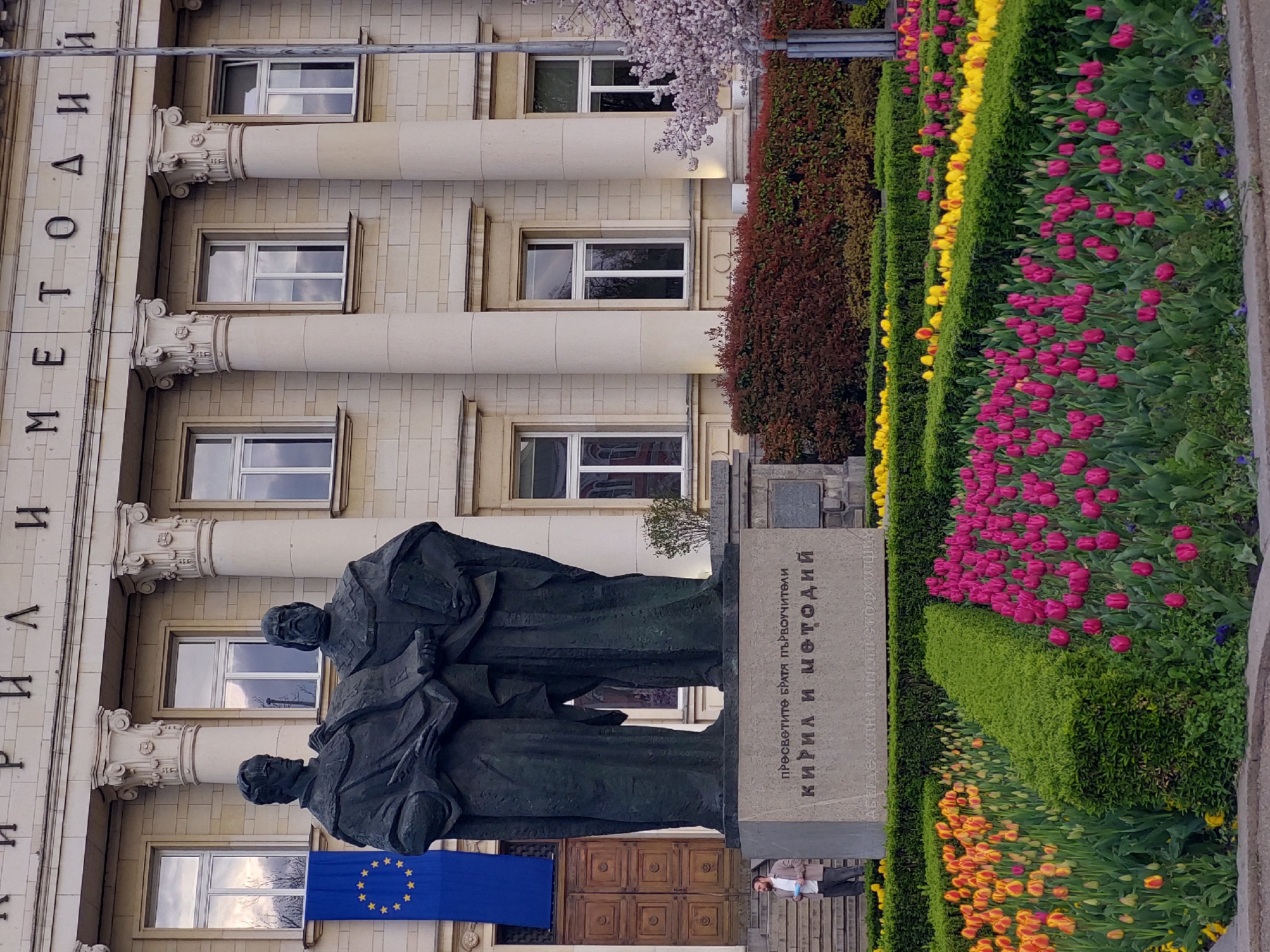 The image captures a vibrant public square scene, centered around a large bronze statue of two men. The statue depicts two cloaked figures, identified by the Cyrillic inscription on its stone base as "ПРЪВОУЧИТЕЛИ БРАТЯ КИРИЛ И МЕТОДИЙ" (First Teachers, Brothers Cyril and Methodius).
Behind the monument stands a grand building with classical architectural elements, including tall columns with ornate capitals and numerous rectangular windows. The Cyrillic letters "МЕТОДИЙ" are vertically inscribed on the building's facade to the left of the statue, consistent with the monument's theme. A blue European Union flag, featuring a circle of yellow stars, hangs prominently from the building's lower section, near the statue's base.
The foreground and sides of the scene are adorned with meticulously arranged flower beds. Rows of vibrant pink, yellow, and orange tulips are separated by neatly trimmed green hedges, creating colorful stripes. To the right of the building, a delicate cherry tree with light pink blossoms adds a soft accent, alongside other darker red and green shrubs.
A single person, a man in a light jacket, stands near the statue base on the right, observing the surroundings. The scene is brightly lit, suggesting clear daytime weather. The combination of Cyrillic script, the EU flag, and the monument to Saints Cyril and Methodius strongly indicates a location in a Slavic European country, most likely Bulgaria.