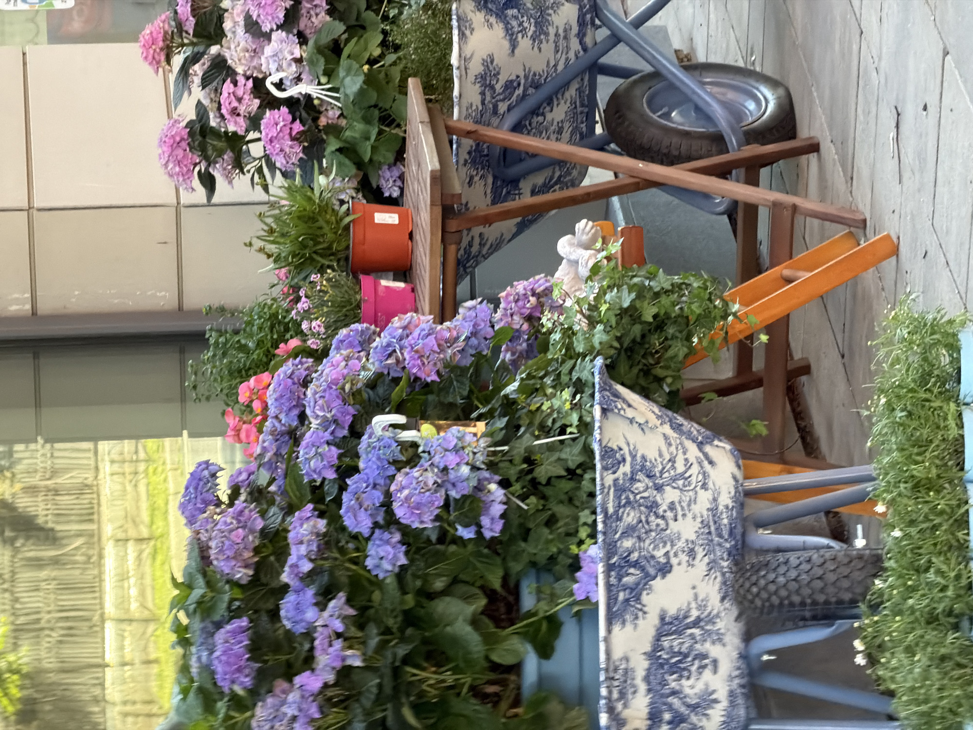The image depicts an outdoor scene, possibly a cafe or flower shop in Saint Petersburg, Russia, with a focus on decorative plants and a rustic aesthetic. In the foreground, a light blue planter with a blue and white patterned design, resembling a wheelbarrow, is filled with lush green foliage. To the left, a large cluster of vibrant purple hydrangeas spills over the edge of another planter. Behind the hydrangeas, more pink and purple hydrangeas are visible, along with some smaller pink flowers. A small wooden table stands to the right, holding two potted plants, one in a pink pot and another in an orange pot. Underneath the table, another wheelbarrow-like planter, also decorated with the blue and white pattern, is visible. The ground is paved with light-colored square tiles. In the background, a building with cream-colored panels and a window with a fence are partially visible, suggesting an urban setting. No people are present in the image.