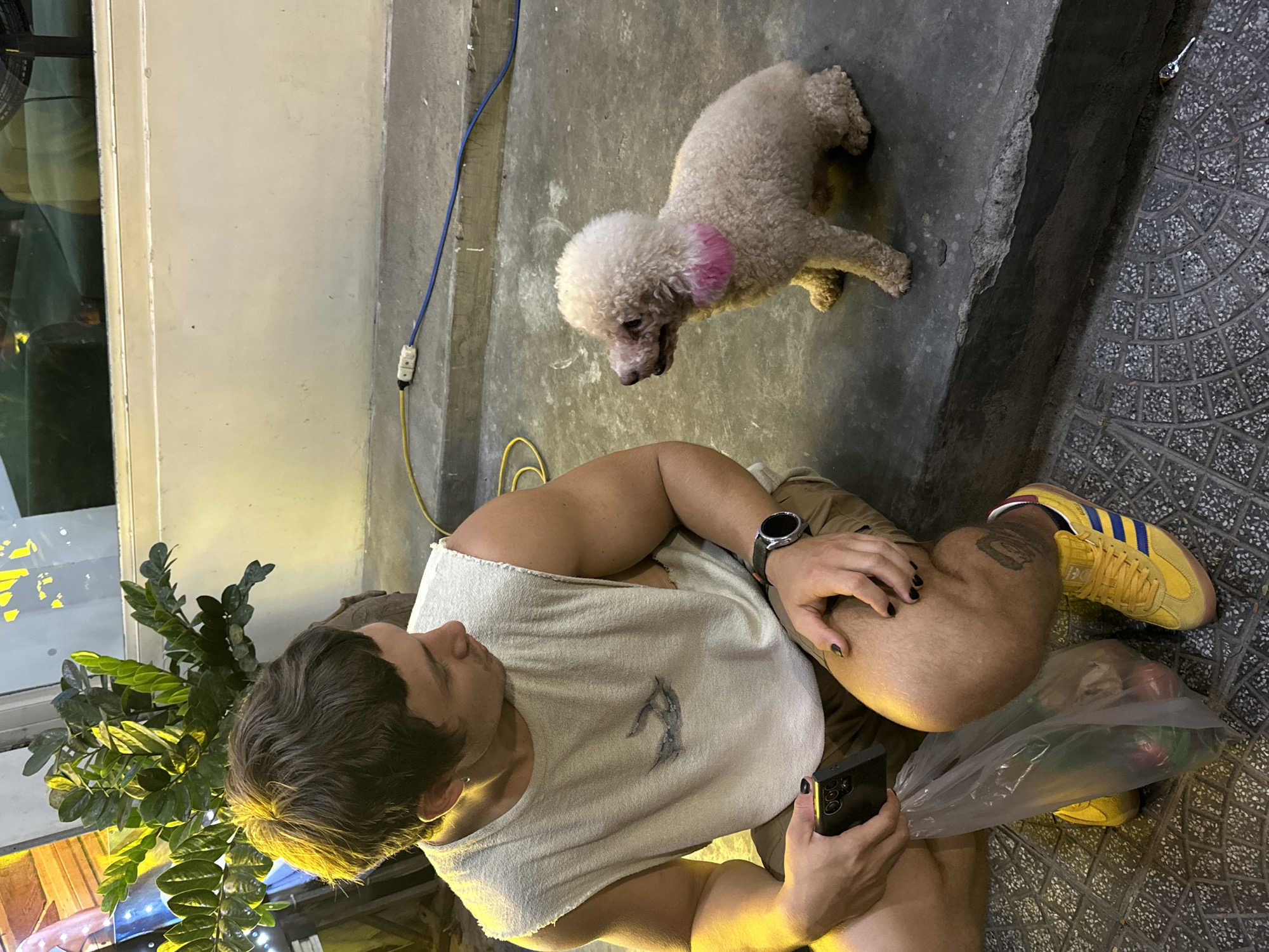 In Đà Nẵng, Vietnam, a young man with short, dark hair is kneeling on a concrete step. He is wearing a sleeveless, off-white shirt and brown shorts. In his left hand, he holds a black smartphone. Next to him, a plastic bag contains what appear to be red fruits, possibly apples. The man is looking down at a small, cream-colored poodle, which is sitting on the step and wearing a pink collar. The poodle is looking towards the man. The ground is paved with patterned tiles. Electrical cords, one yellow and one blue, are visible on the steps behind the poodle. A potted plant with lush green leaves is to the left of the man.