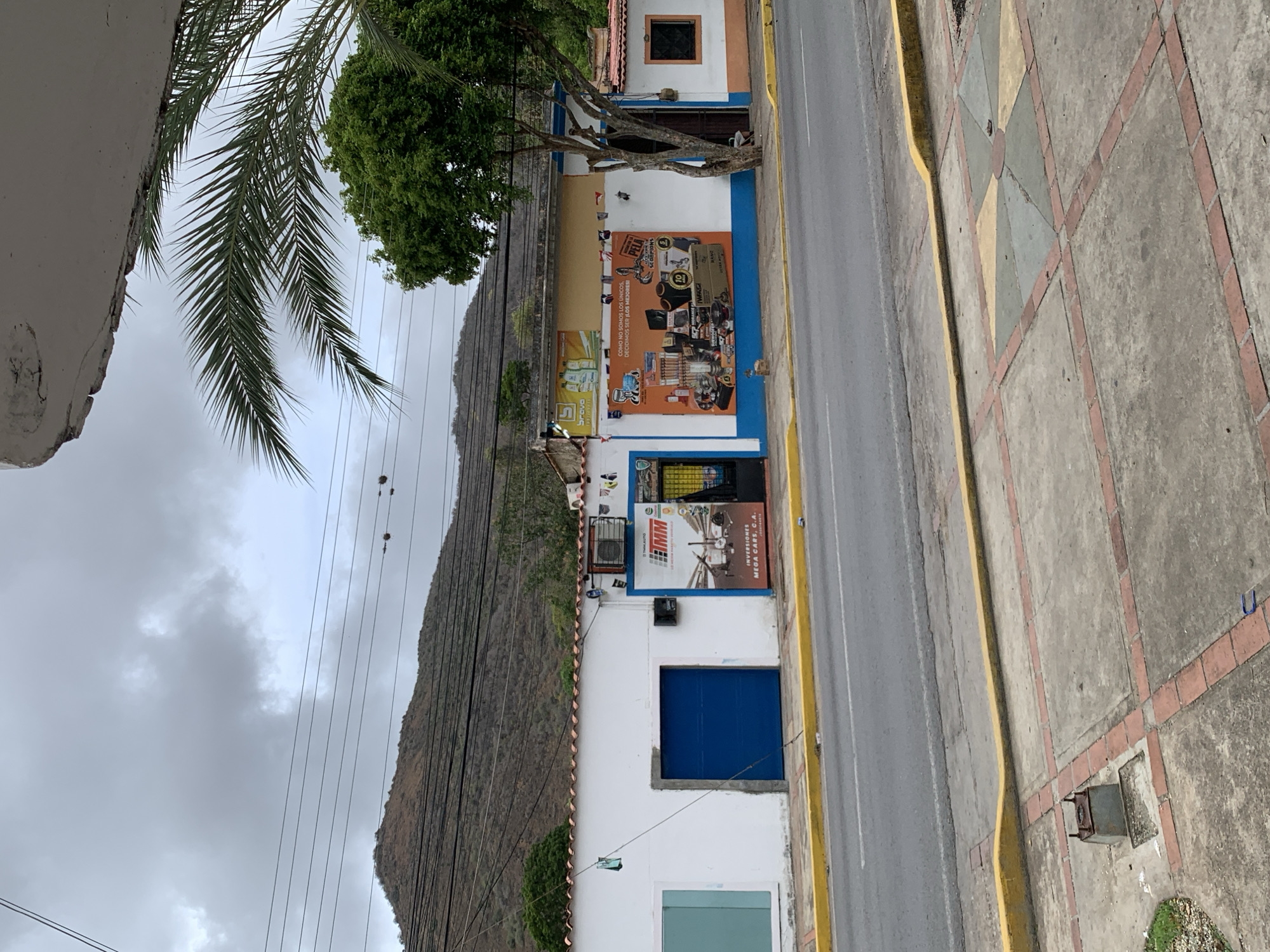 The image depicts a street view in Santa Ana, Venezuela, under an overcast sky with grey clouds. In the background, arid, sparsely vegetated mountains rise under the cloud cover. Multiple black power lines traverse the upper and middle sections of the image.
The scene focuses on a row of commercial buildings lining a grey asphalt road. The road features a faint white dashed center line and is bordered by a yellow curb. On the sidewalk, concrete tiles are arranged with red brick borders, and some sections feature a decorative pattern of grey, yellow, and green triangular tiles. A small, rusty metal box-like structure is present on the left side of the sidewalk, and a blue U-shaped object lies on the right side.
The buildings exhibit white facades with varied trim. The leftmost building has a light blue rectangular window and a dark blue roll-up garage door. Adjacent to the blue door is a small dark box, possibly electrical. Above this section, an air conditioning unit is mounted, partially obscuring a sign. Below the air conditioner, a vertical banner displays the "HMM" logo and "INVERSIONES MEGA CARS, C.A." with an image of an ATV or trailer.
Further to the right, a large orange banner covers a significant portion of the facade, bearing the Spanish text "COMO NO SOMOS LOS UNICOS, DECIDIMOS SER ¡LOS MEJORES!" (Since we are not the only ones, we decided to be the BEST!). This sign displays a variety of automotive parts, tools, and accessories, including tires, batteries, helmets, lights, and speakers, with visible branding such as "SCORPIONS" and "BRAVO" (for cleaning products displayed on a smaller sign above). A medium-sized tree with green foliage stands directly in front of this section, its multi-branched trunk partially obscuring the building's entrance. The rightmost visible building features a white facade with an orange trim around a small, dark, rectangular window. Terracotta-style roof tiles are visible along the rooflines of the buildings.
In the top right corner, a concrete overhang is visible, and large fronds of a palm tree extend into the frame. No people or active interactions are present in the scene.