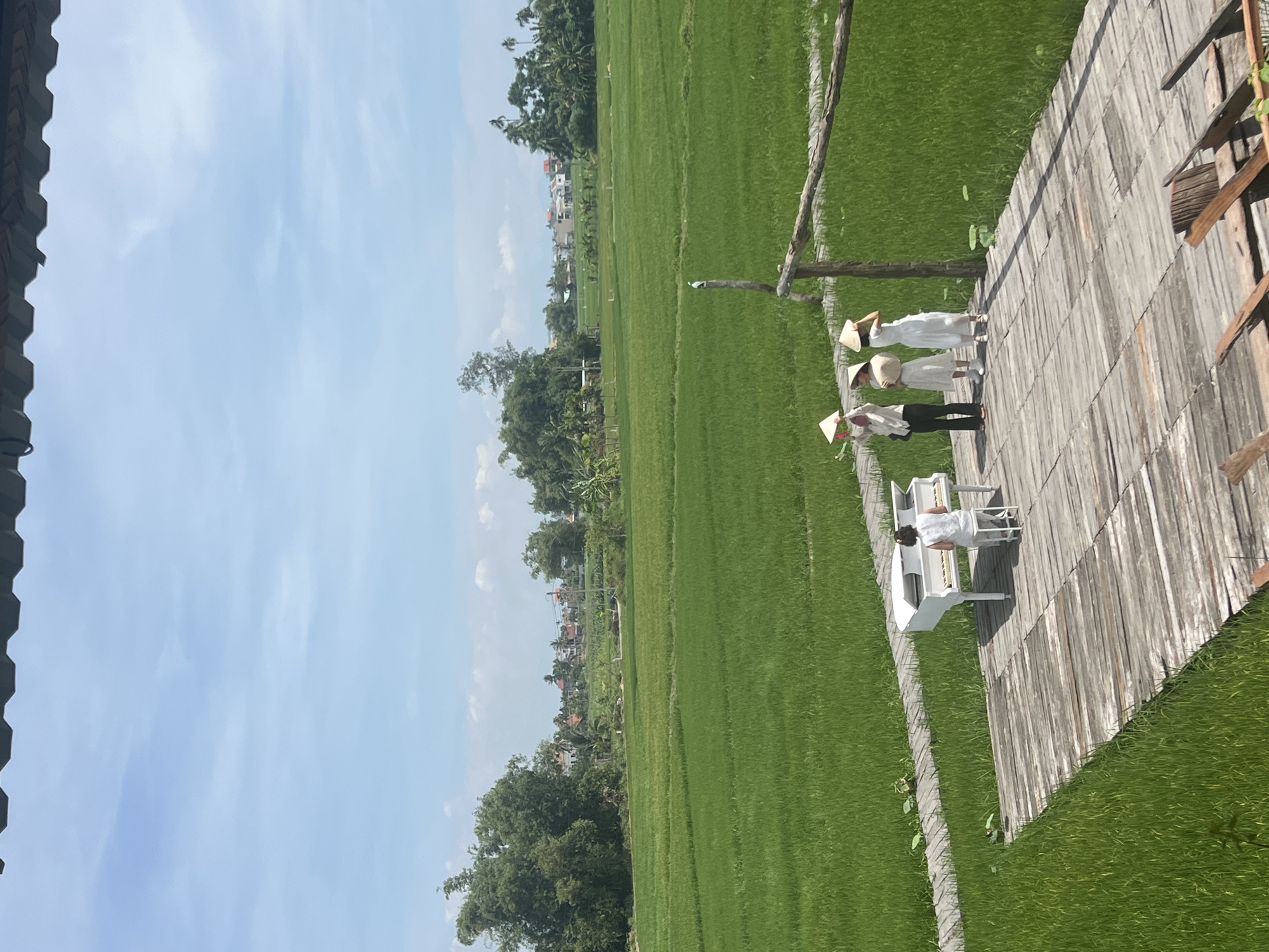 This image depicts an outdoor scene at a rice paddy field near Hoi An, Vietnam, on a sunny day with a blue sky and scattered clouds. In the foreground, a white grand piano is set up on a wooden platform. A person, seen from behind, is seated at the piano, appearing to play. To the right of the piano, three individuals wearing traditional conical hats and light-colored clothing stand together on the same platform. Behind the platform, the expansive green rice paddy stretches into the distance, dotted with trees and buildings that suggest a rural or semi-rural setting. The platform itself is constructed from weathered wooden planks, with a rustic wooden railing on the right side. The overall atmosphere suggests a cultural or tourist attraction within the picturesque landscape of Hoi An.
