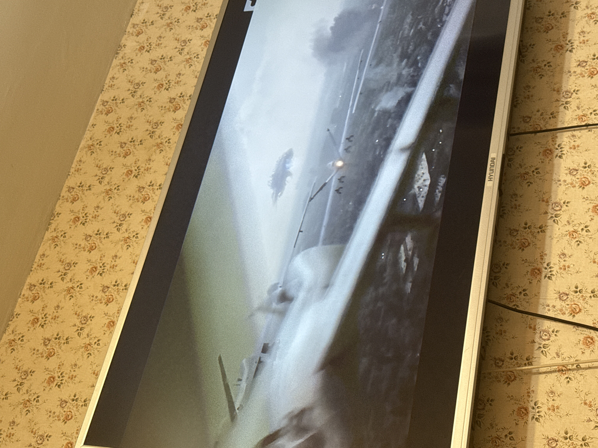A Hyundai television displays a black and white image of an aircraft in flight. The television is mounted on a wall covered in floral patterned wallpaper. The location is unidentifiable as Mytishchi, Russia.