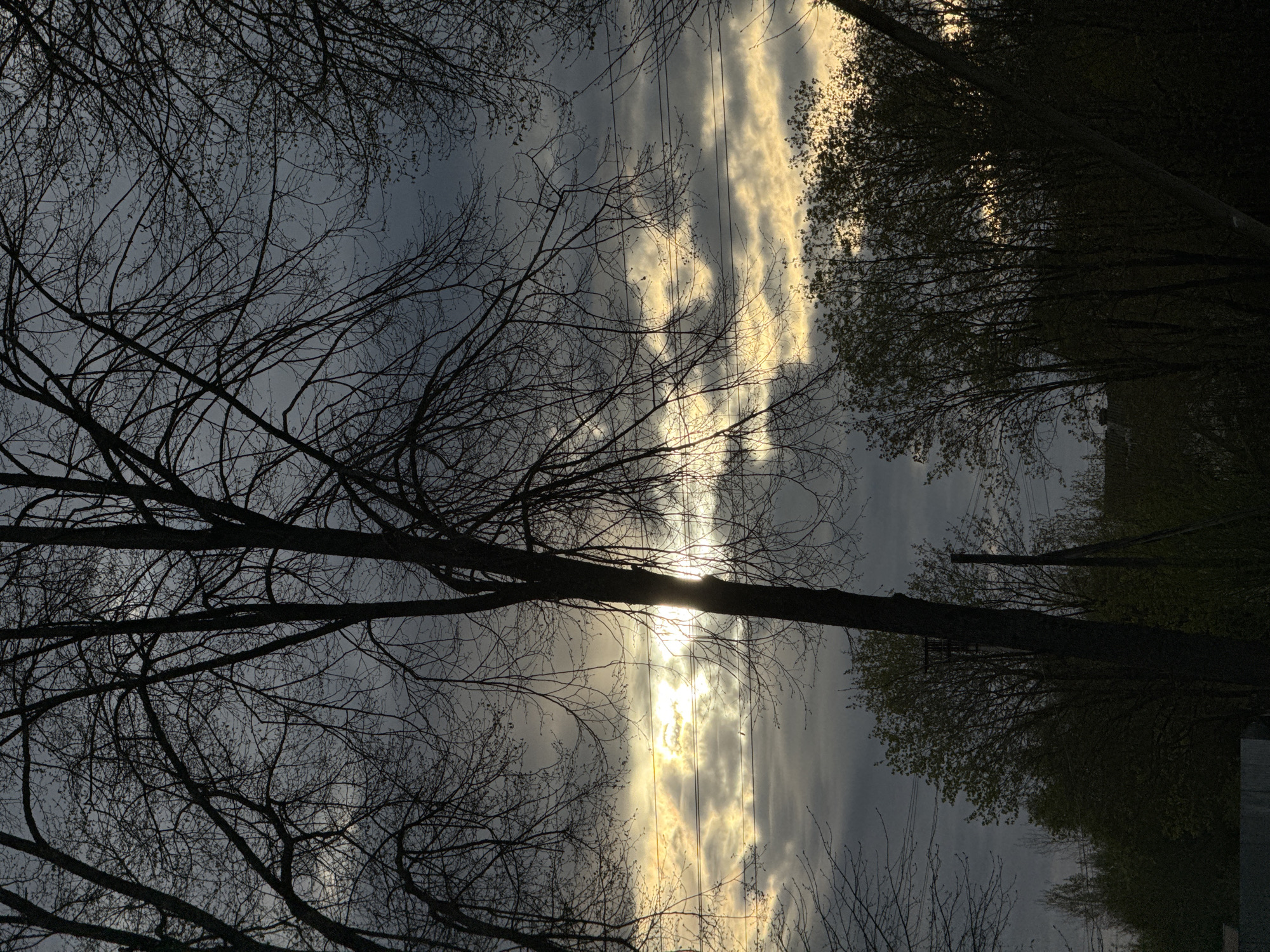 A low-angle shot depicting a view of the sky through bare branches of trees, likely taken in the city of Красный Маяк, Russia. The sky is overcast with visible patches of brightness, potentially indicating sunset or sunrise. Several power lines run through the sky. On the right of the shot, there are more trees with sparse leaves, indicating early spring. The overall tone of the image is dark due to the lighting conditions.