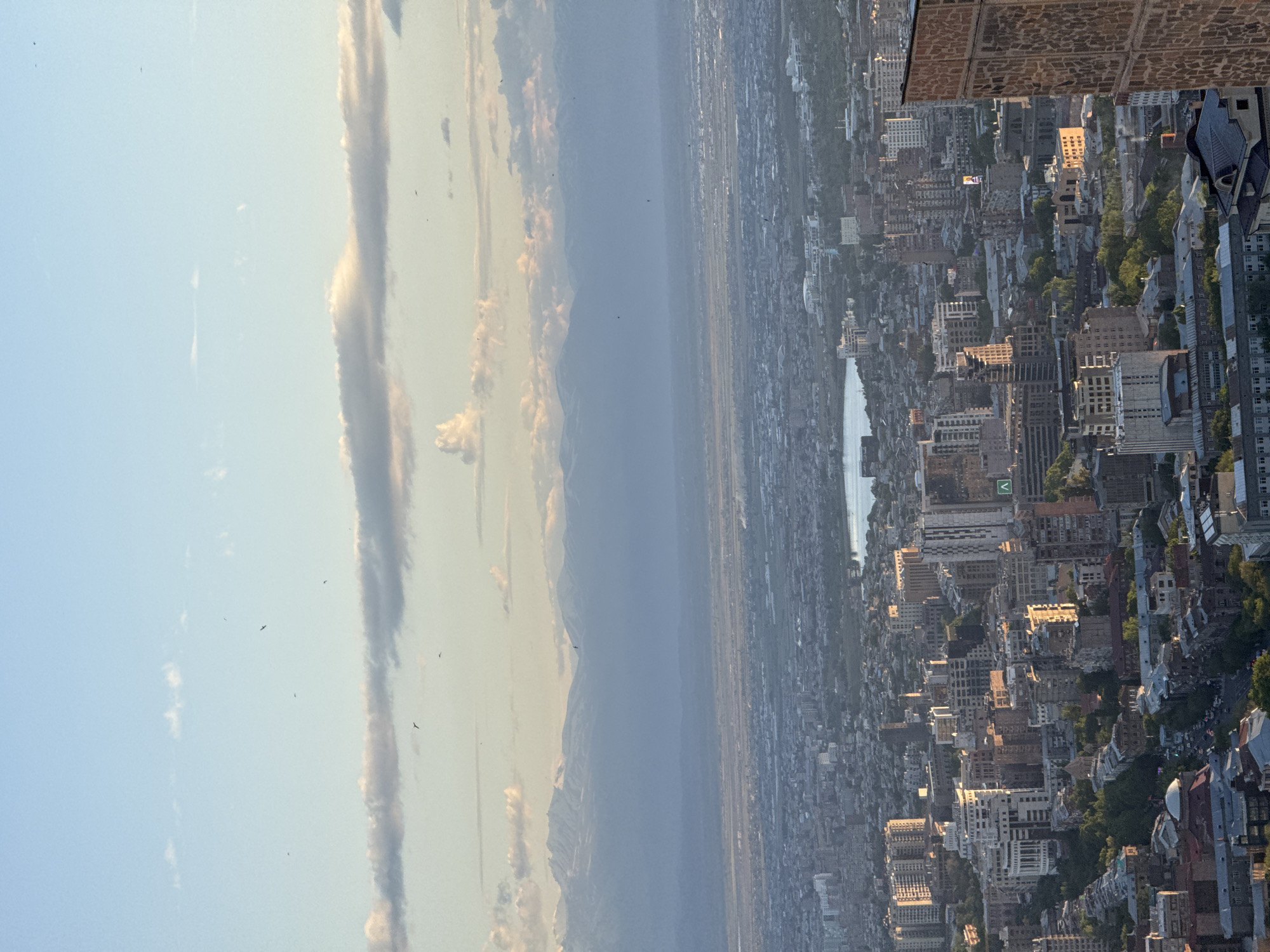 An aerial view looking west over Yerevan, Armenia, features a dense cityscape of varied buildings with visible trees along streets. The city extends to a large body of water in the middle-ground. Beyond, a broad valley stretches to the base of a mountain range, all under a sky with vertical, smoky-looking clouds. Birds are visible in the sky. The photograph is taken from a high vantage point, presumably a tall building in the city.
