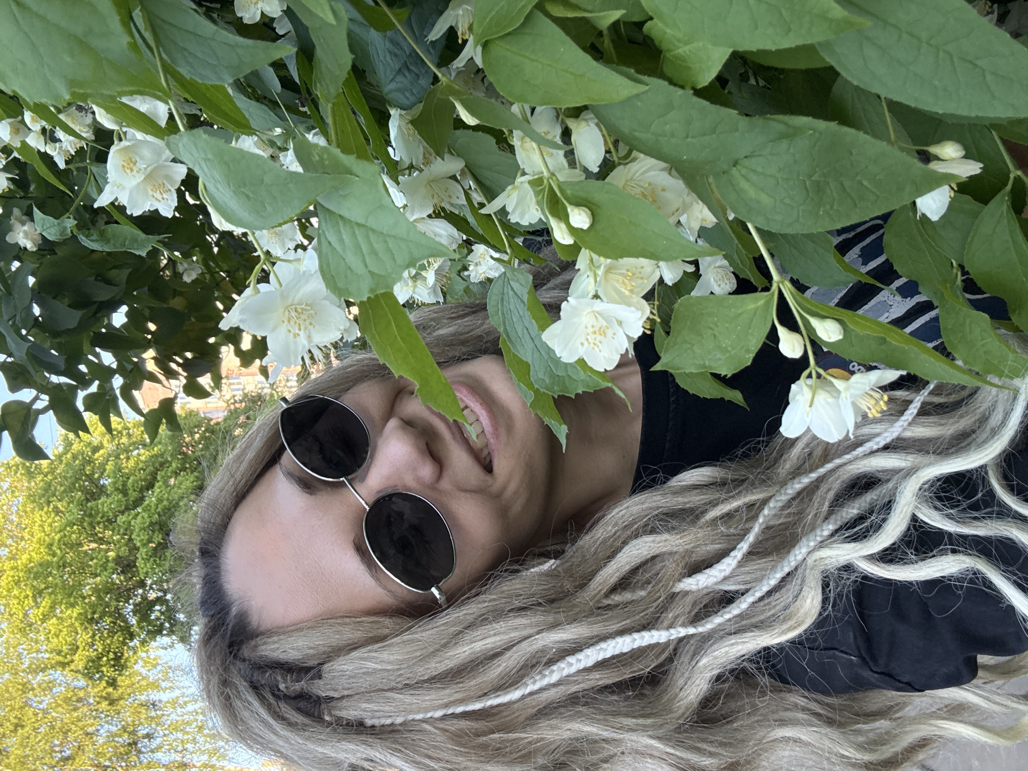 The image captures an adult female outdoors in an urban environment in Rusanovo, Russia. She is partially obscured by a flowering shrub featuring numerous white, five-petaled flowers with yellow stamens, consistent with a jasmine or mock orange (Philadelphus) species, and dark green foliage. The female subject has long, wavy, blonde hair with darker roots and several interwoven thin, light-colored braids. She wears dark, oval-shaped sunglasses with thin metal frames and is smiling, revealing her teeth. She is dressed in a black top. The background consists of large deciduous trees with vibrant green leaves under a light blue sky, with indistinct architectural structures visible in the distance. The scene is illuminated by natural daylight.