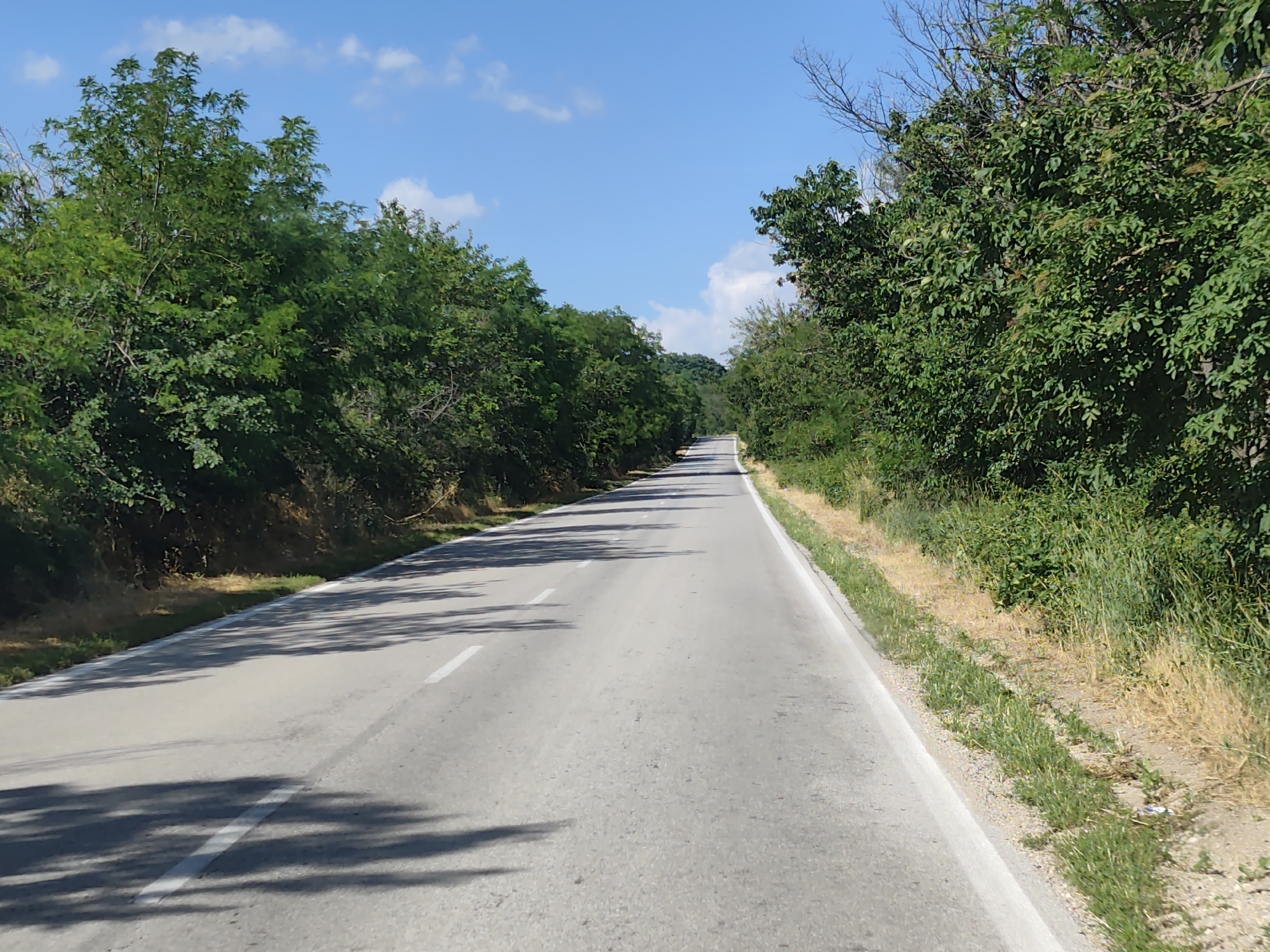 The image shows an asphalt road stretching into the distance, bordered by lush green trees on both sides. The road is divided by a white line, and shadows of trees are cast across its surface, suggesting a sunny day. The sky above is a vibrant blue with scattered white clouds. The scene is natural and tranquil, with no people or vehicles visible. The vegetation appears dense and wild, indicating a rural or natural setting. The sunlight filtering through the leaves creates a dappled effect on the road, adding to the peaceful atmosphere. The time of day appears to be midday, given the strong sunlight and shadows. The location cues, along with the clear blue sky and abundant greenery, suggest a warm, pleasant day, likely during the summer months.