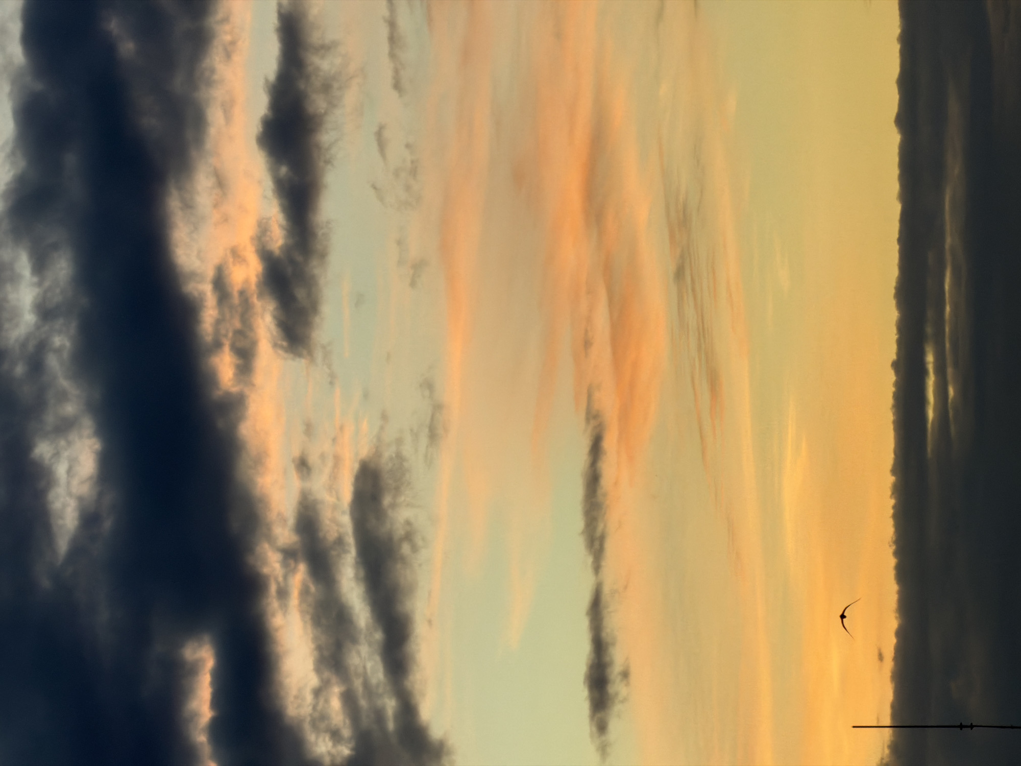 A bird is flying in the sky at sunset. The sky is filled with clouds that are orange and yellow. There is a dark cloud at the bottom of the image. There is also a tall, thin pole on the left side of the image. The bird is silhouetted against the sky.