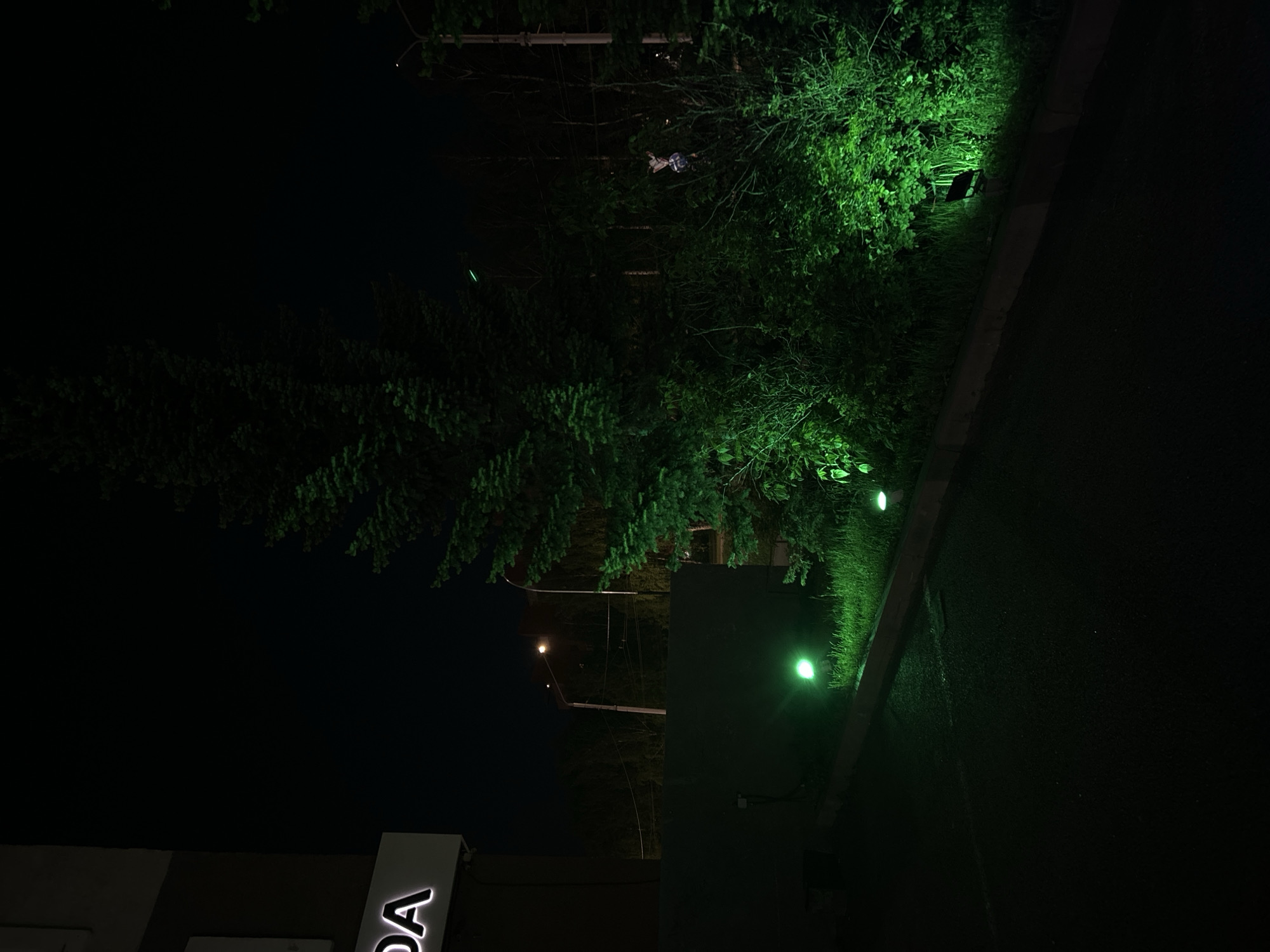 The image displays an outdoor scene at night, dominated by deep shadows and artificial illumination. A dark asphalt surface, possibly a road or parking lot, occupies the right side of the frame, bordered by a concrete curb.
To the left of the curb, a vibrant strip of green foliage, comprising bushes and grass, is brightly lit by several concealed green spotlights at ground level. These lights cast an intense, almost ethereal green glow across the vegetation, highlighting its texture against the pervasive darkness. Beyond this illuminated strip, darker, less distinct trees and bushes extend further into the background.
In the upper-middle section, nestled within the branches of a dark tree, a small, light-colored object, possibly a piece of cloth or debris, is faintly visible. The far-left portion of the image reveals a dark night sky, crossed by utility poles and power lines. A single, distant streetlight emits a warm, yellowish glow in the upper-left quadrant.
At the bottom-left corner, part of a white sign with dark lettering is visible, clearly showing the letters "DA", indicating the presence of a nearby business or structure. No people or animals are present, and no specific activity is taking place. The scene is static, evoking a quiet and somewhat mysterious ambiance due to the stark contrasts between the artificial green light and the surrounding darkness. The time of day is unequivocally night.