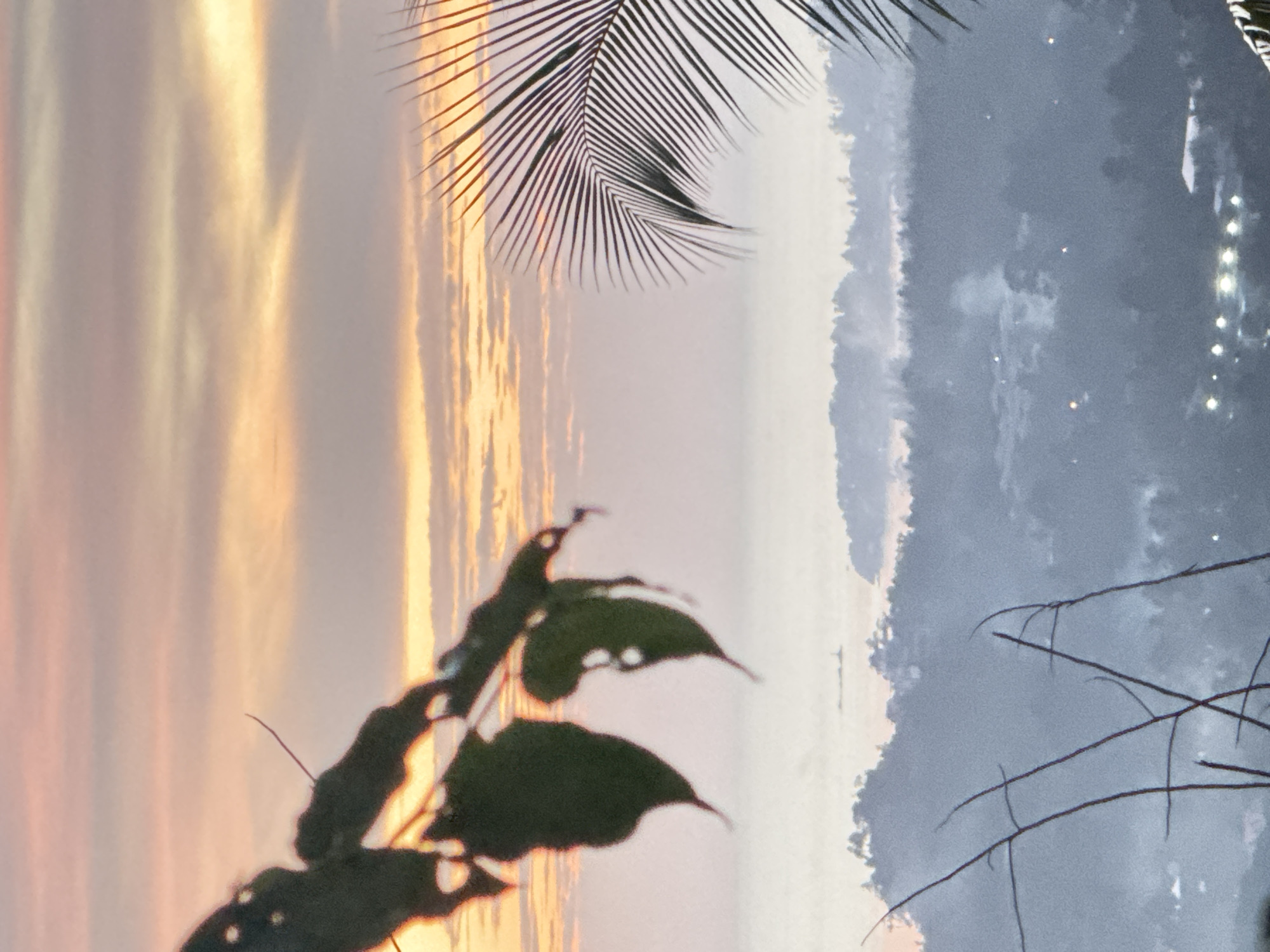 An early morning, misty, high-angle view of a tropical landscape in Ko Pha-ngan District, Thailand, is captured. The foreground features dark, out-of-focus foliage, including leaves with visible holes and thin, bare branches. To the right, a portion of a dark, spiky palm frond extends into the frame.
The middle ground shows a hazy, mountainous terrain covered in dense vegetation. Patches of smoke or mist rise from various points within the landscape, suggesting either natural atmospheric conditions or small fires. Scattered lights, appearing as small, bright dots, are visible amongst the hills, indicating human settlements or buildings. A faint, thin line of land with a structure, possibly a lighthouse or tower, is visible in the distance across the water.
The background is dominated by a soft, pastel sky, transitioning from pale orange and pink hues near the horizon to a muted gray and lavender higher up. Thin, elongated clouds are streaked across the sky, characteristic of dawn or dusk. The overall atmosphere is serene and diffused due to the pervasive mist. No people are visible in the image.