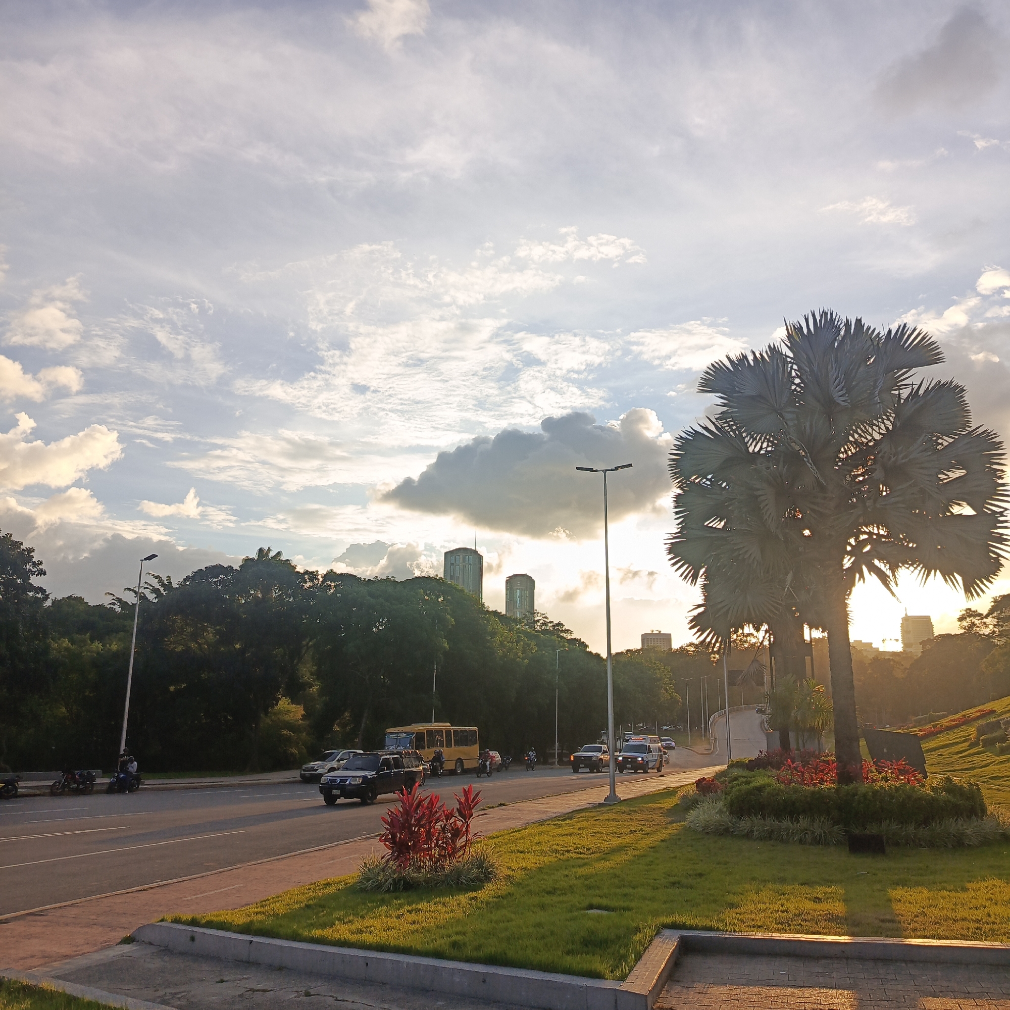 The image depicts a street scene in Caracas, Venezuela, likely during the late afternoon or early evening, as indicated by the warm lighting and long shadows. In the foreground, a paved area with a concrete border is visible, transitioning into a well-maintained grassy area with flowerbeds. A prominent palm tree with fan-shaped leaves stands to the right, silhouetted against the sky.
The street itself is asphalt with lane markings, and traffic is present. Vehicles include a yellow bus, several cars, including a dark SUV and trucks, and motorcycles. Some individuals are seen near the roadside, including two people on a motorcycle.
The background features a dense line of trees, with buildings, including two distinct high-rise structures, rising above them on a hill. The sky is partly cloudy, with a mix of bright white and darker gray clouds, illuminated by the setting sun. Streetlights are visible along the roadside and on the elevated road structure to the left. The overall atmosphere suggests a typical urban environment in Caracas, with elements of nature integrated into the cityscape.