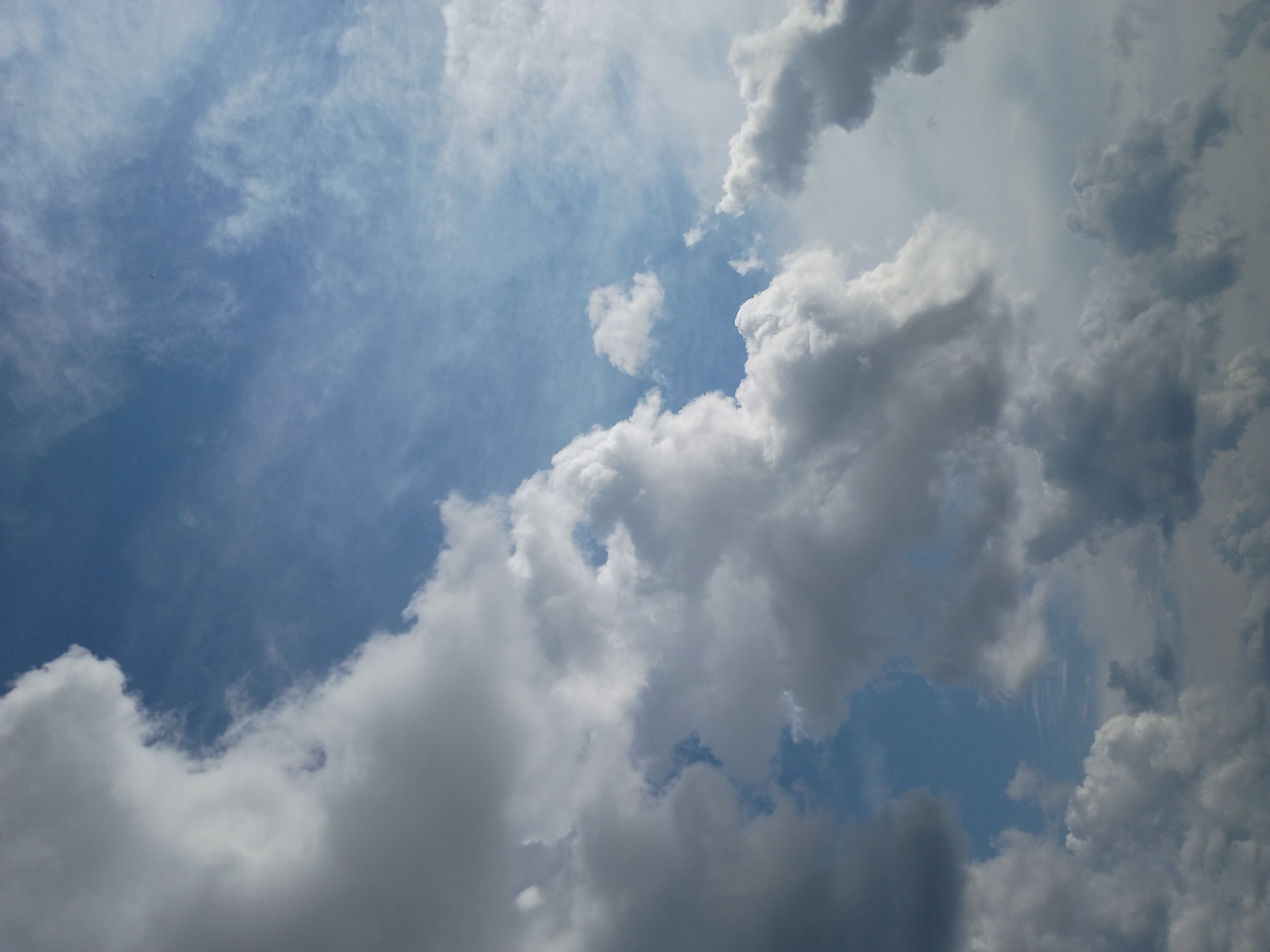 This is a close-up, angled shot of a sky filled with dynamic clouds against a bright blue sky. The clouds vary in size and density, with some appearing bright white and fluffy, while others are darker and more ominous, suggesting depth and texture. There are no discernible structures, people, or other objects in the frame, indicating this is a purely atmospheric scene. The image does not provide any visual cues to pinpoint a specific location within Lexington, United States of America, as it focuses solely on the sky.