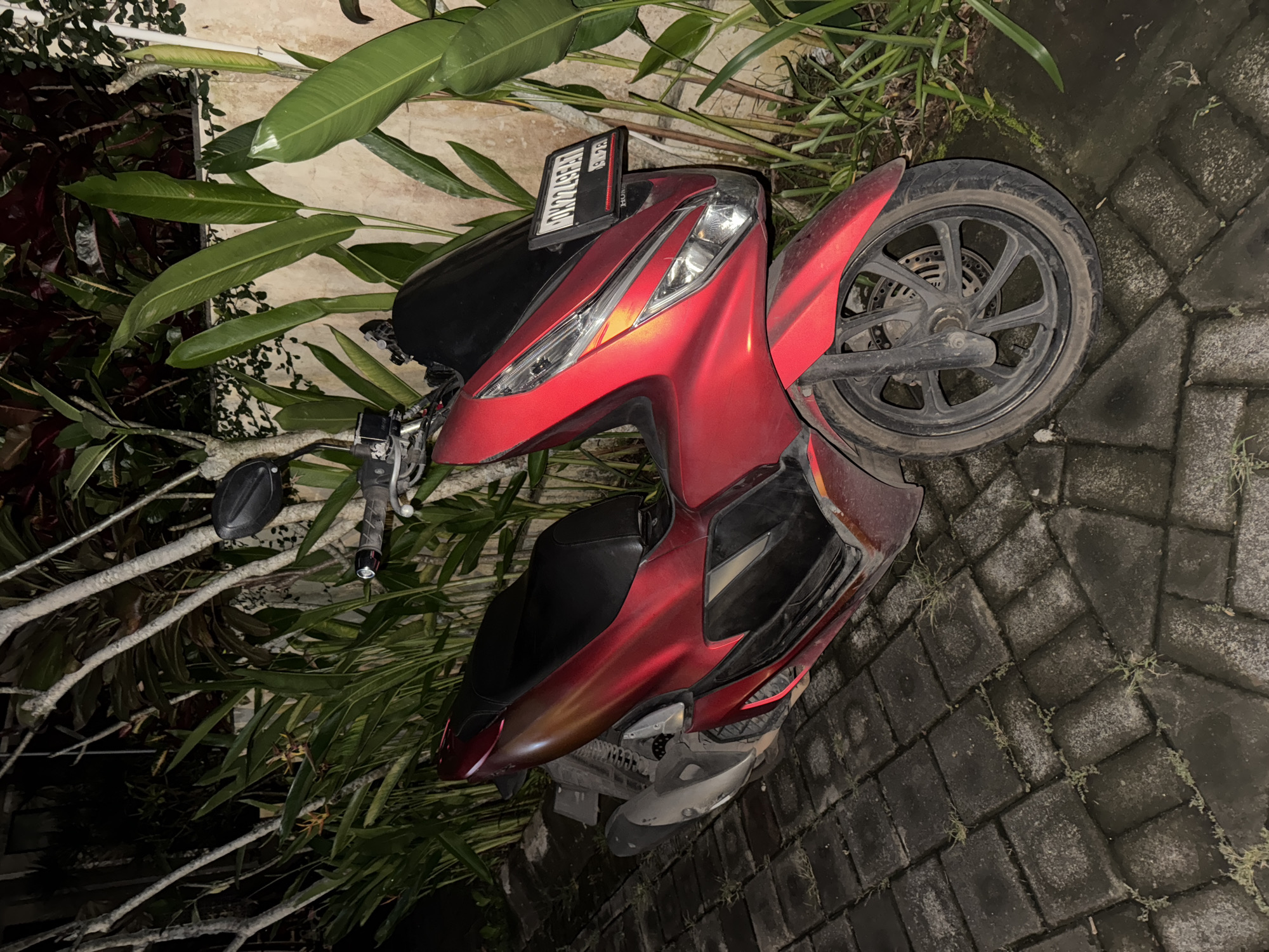A red scooter is depicted parked outdoors at night, surrounded by lush tropical vegetation and resting on an interlocking paver surface. The scene is dimly lit, suggesting nighttime or very low light conditions.
The scooter is metallic red with black and grey accents on its body, seat, and handlebars. The front wheel, equipped with a disc brake, is visible and appears somewhat dusty. A black license plate is mounted on the front of the scooter, positioned just above the headlight assembly. The text visible on the license plate reads "DE 5971 KCH".
To the left and behind the scooter, dense foliage with large, broad leaves and smaller shrubbery creates a verdant backdrop, casting deep shadows. The ground beneath the scooter is made of dark, interlocking paving stones, with sparse green weeds growing in the gaps between them, indicating outdoor exposure. The scooter is stationary, with no immediate activity taking place. The overall setting is consistent with a tropical environment like Kuta Selatan, Indonesia.