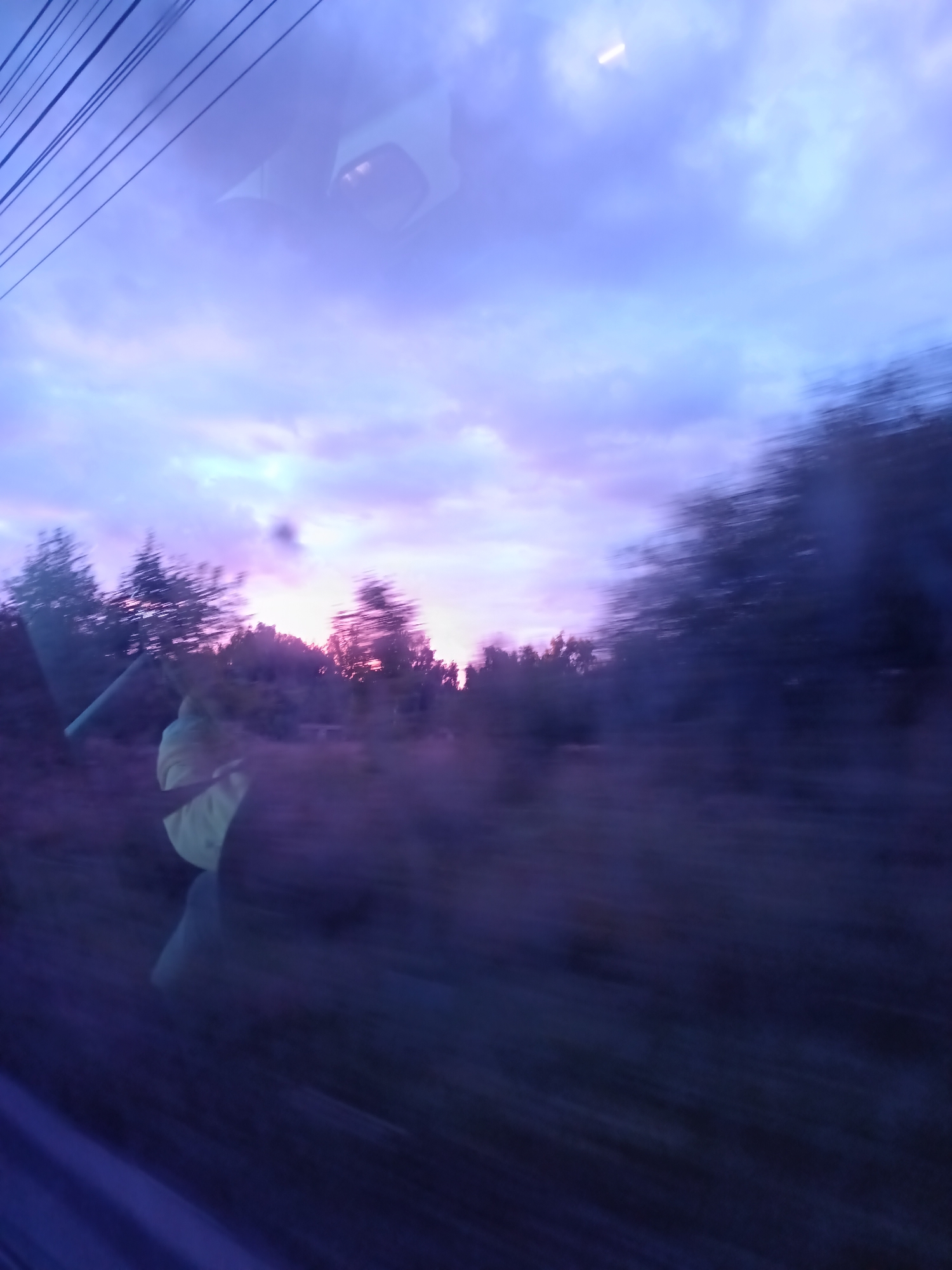 This is a blurred, horizontal photograph of a landscape, likely taken from a moving vehicle, possibly a train or car, due to the motion blur. The image is dominated by a sky with hues of purple and blue, indicative of a sunset or sunrise. Several power lines are visible in the upper left corner of the frame, creating a diagonal line across the sky.
In the mid-ground, there appears to be a person wearing a bright yellow garment, possibly a jacket or raincoat, standing or sitting amidst vegetation. The person is partially obscured by the motion blur and is the most distinct human figure in the image. Behind and around this figure, a line of trees forms a dark silhouette against the colorful sky. The ground in the foreground is dark and indistinct, also affected by the motion blur.
The overall scene suggests an outdoor environment, with natural elements like trees and sky being prominent. The lighting conditions are low, as indicated by the purple and blue tones in the sky and the darkness of the foreground. The presence of power lines suggests a semi-rural or edge-of-town setting. Without additional context or sharper detail, it is not possible to pinpoint an exact location within Zvenigorod, Russia, but it depicts a natural setting near infrastructure.