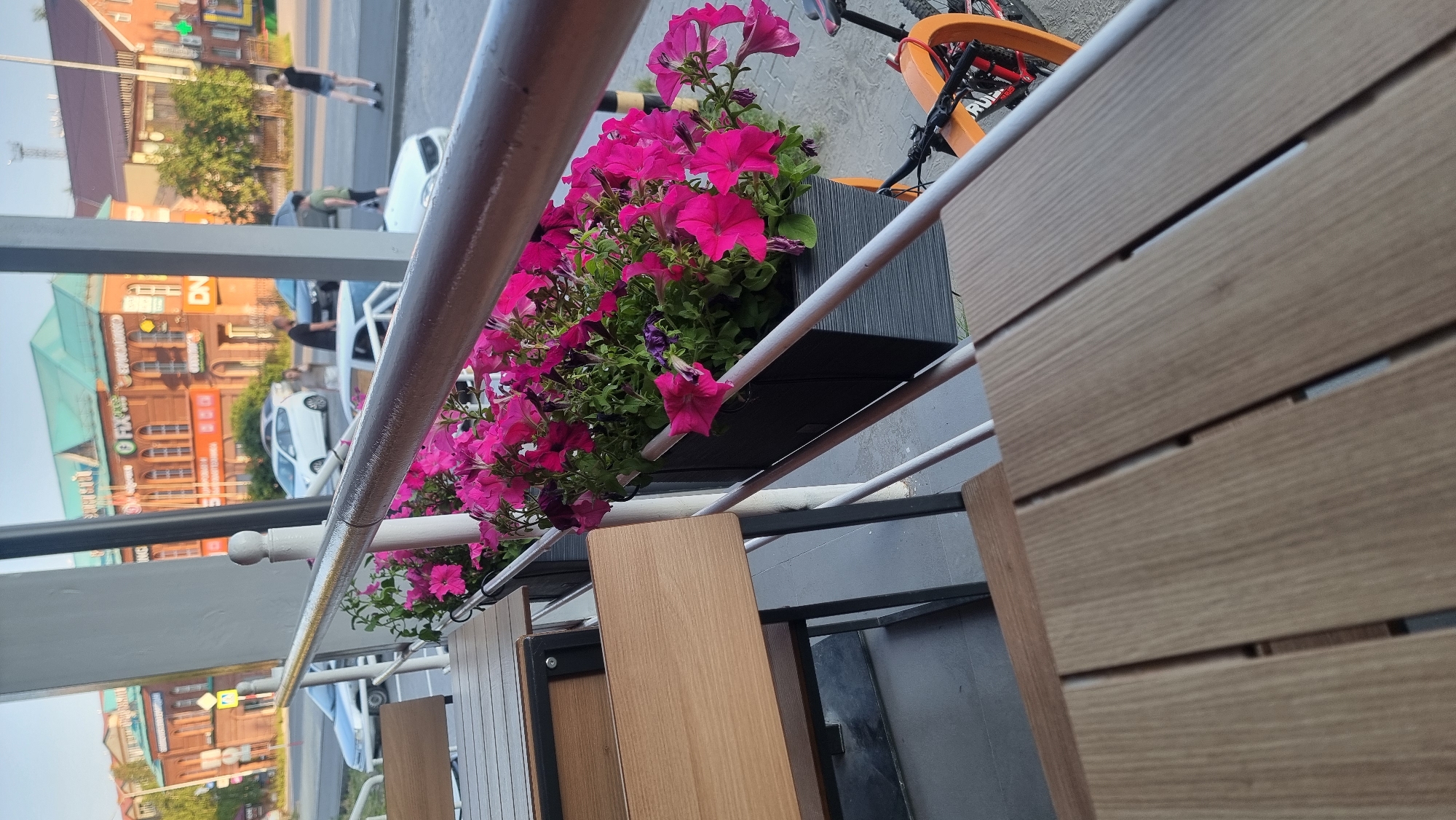 This image captures an outdoor seating area with a focus on a planter box filled with vibrant pink petunias. The planter is situated along a railing, and beyond it, a street scene unfolds. Several cars are visible on the road, and a few individuals are walking. In the background, a brick building with arched windows and a green roof stands prominently. The overall environment suggests a public space, possibly a cafe or restaurant patio, located in the city of Megion, Russia. The foreground shows wooden tables and chairs, suggesting a place for patrons to relax. The scene is captured during daylight hours, with soft lighting and a clear sky, indicating pleasant weather.