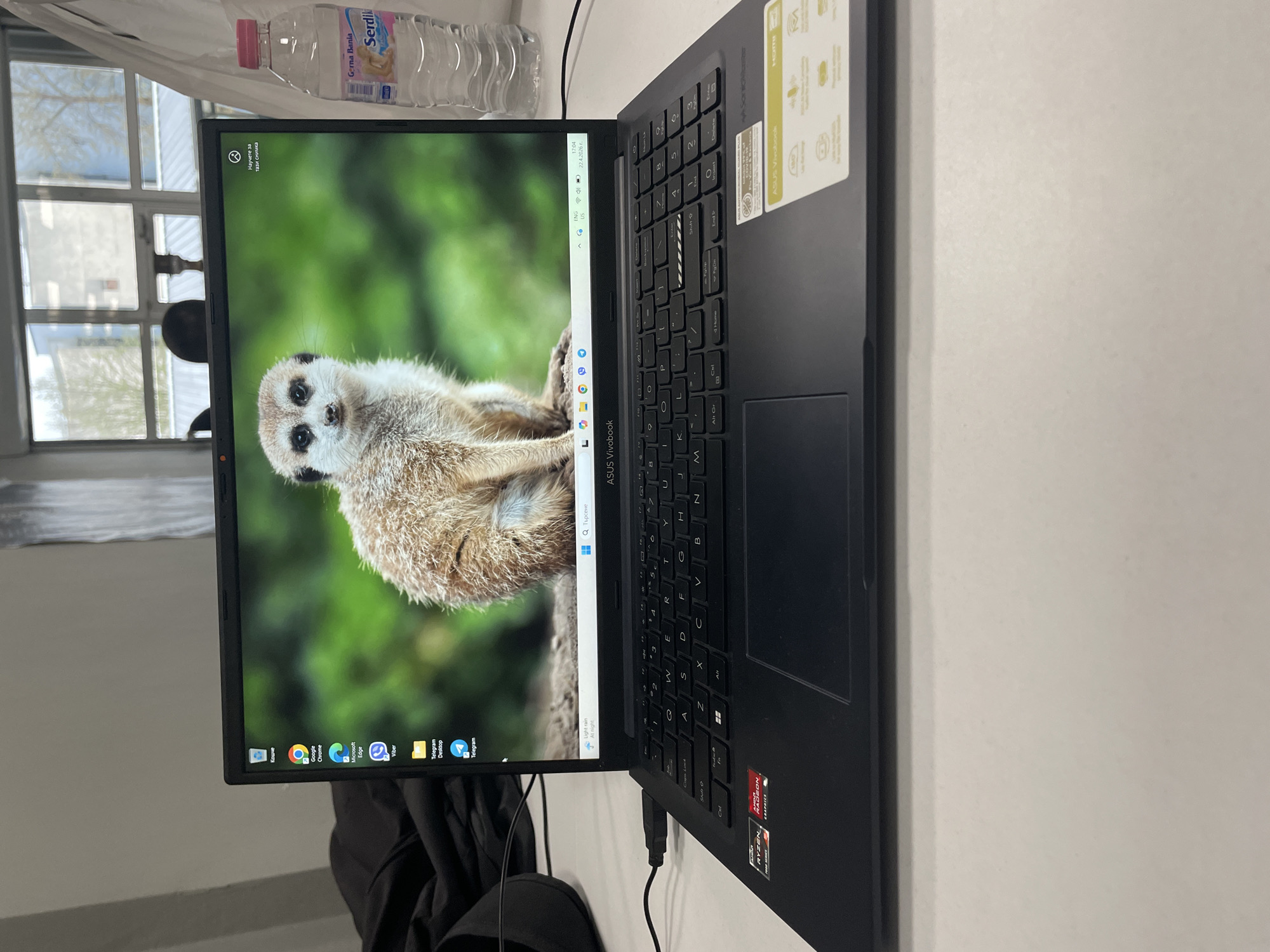 Here's a forensic description of the image:
**Overall Scene:** The image depicts an open black ASUS Vivobook laptop positioned on a white surface, likely a table. The laptop's screen displays a photograph of a meerkat against a green background.
**Objects:**
* **Laptop:** An open ASUS Vivobook laptop with a black keyboard.
* **Screen:** The laptop screen shows a wallpaper of a meerkat. Icons for applications such as Google Chrome, Microsoft Edge, Viber, Telegram, and Калкулатор, are visible on the screen.
* **Water Bottle:** A bottle of "Serdili Gerna Bania" water is partially visible in the upper left corner of the image.
* **Cables:** There is a black cable plugged into the side of the laptop.
* **Background:** Through a window visible in the upper left, the exterior environment is indistinct.
**Location Inference:**
* The laptop's system language is set to Bulgarian.
* The water bottle is a local brand, "Serdili Gerna Bania."
* Based on this information, a plausible location is Sofia, Bulgaria.