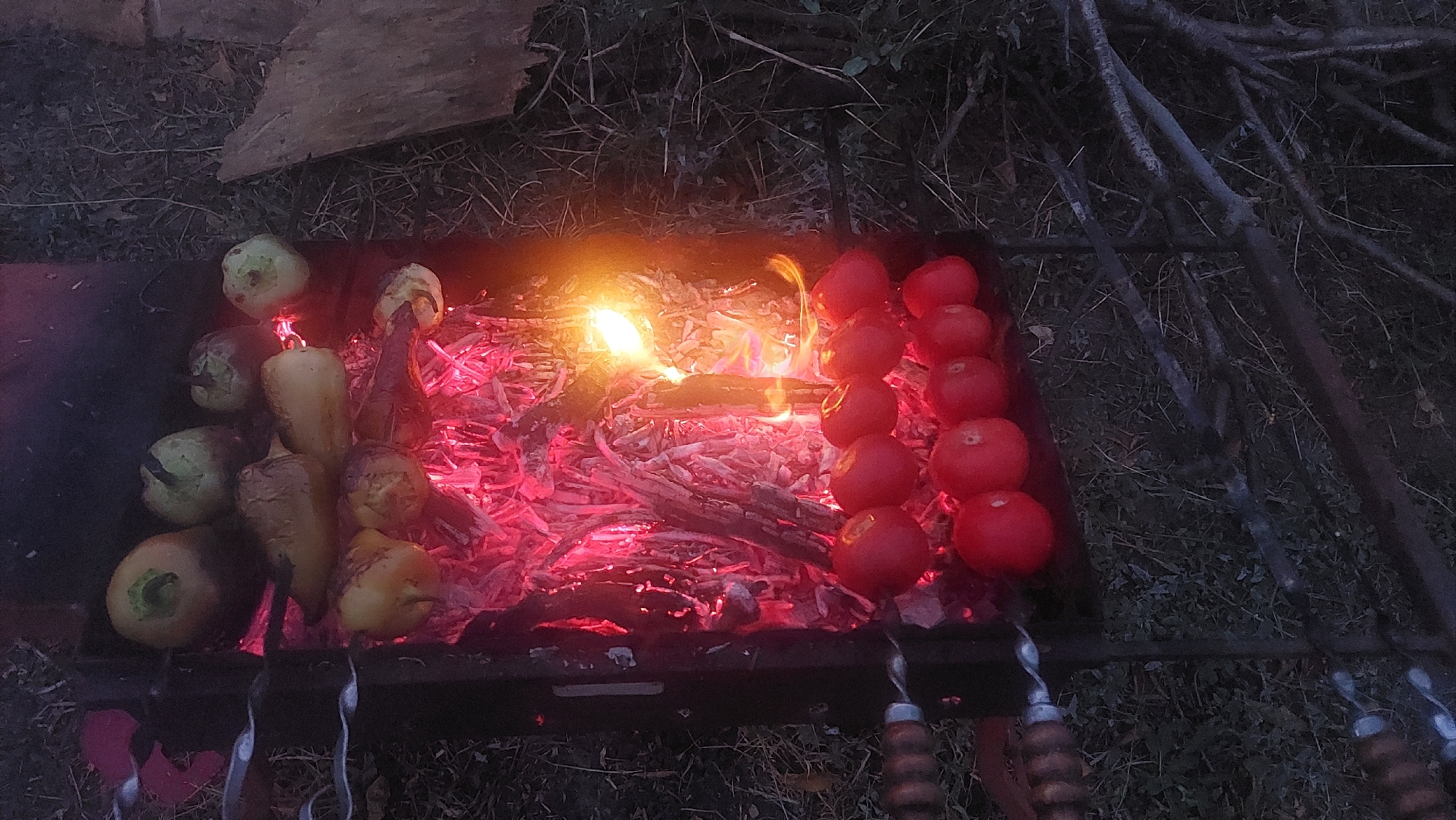 In the village of Mysivske settlement, Ukraine, a barbecue is taking place. Tomatoes and bell peppers are skewered and being cooked over glowing embers and a small flame. The scene is set outdoors, with dry grass and twigs surrounding the barbecue. A piece of wood is visible to the right of the frame, and the lighting suggests it is dusk or nighttime.