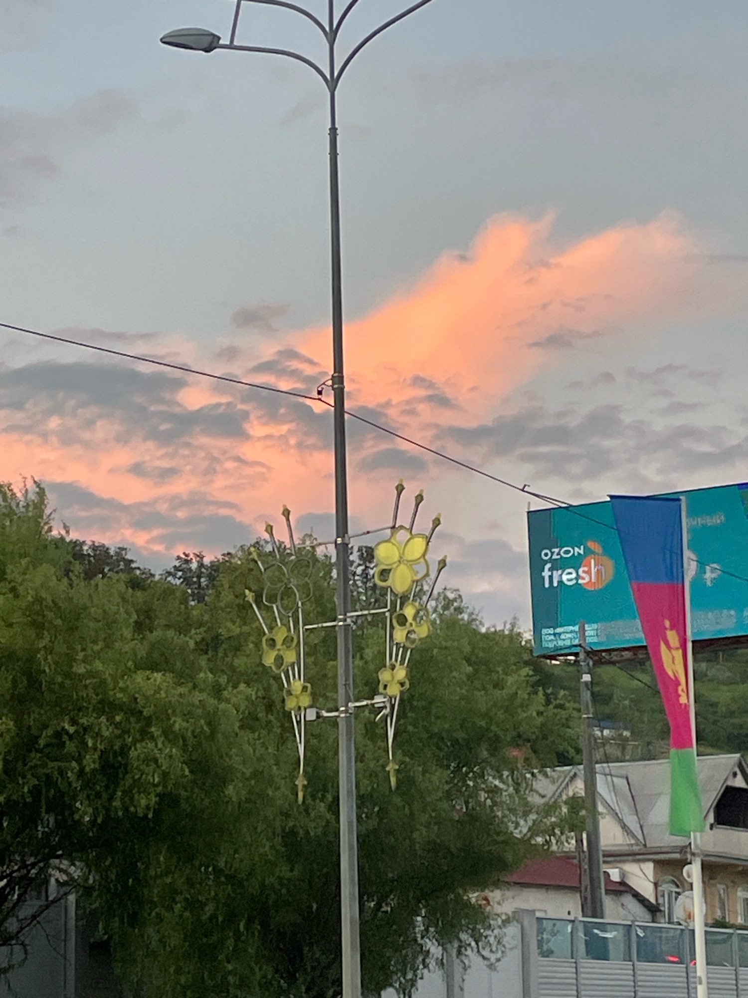 The image captures a street scene in Sochi, Russia, during a sunset. The sky is painted with hues of pink and orange, with scattered clouds. A lamppost with a modern design stands prominently in the foreground, adorned with yellow, flower-like decorations. To the right, a billboard advertises "OZON fresh" with an apple logo, accompanied by a flag with horizontal stripes of blue, pink, and green. Lush green trees form a backdrop, and residential buildings with tiled roofs are visible in the distance. The overall impression is one of an urban landscape bathed in the soft glow of twilight.