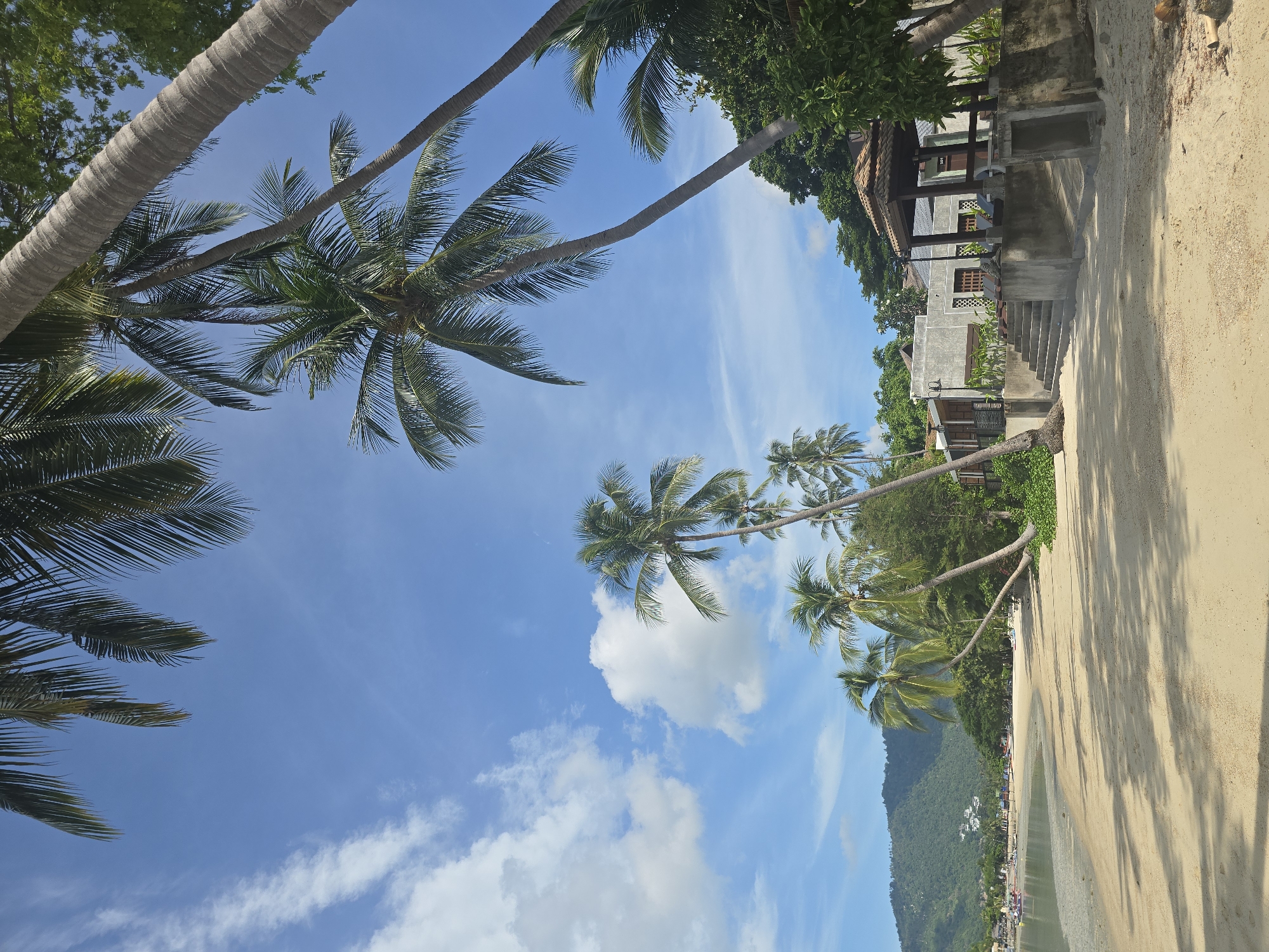 A wide-angle view of a tropical beach in Baan Lamai, Thailand, under a bright blue sky with scattered white clouds. Palm trees with lush green fronds dominate the upper portion of the frame, with their trunks leaning at various angles. The beach itself is composed of light-colored sand, casting long shadows from the trees. In the middle ground, a body of calm, clear water meets the shore. On the right side of the beach, a modern building with concrete walls and a brown tiled roof pavilion stands with a set of concrete stairs leading up to it. The building appears to be a resort or hotel, with lounge chairs visible in the pavilion. Further in the background, green, tree-covered hills rise, with a few buildings nestled into their slopes. Several small boats are visible on the water near the shoreline in the distance on the left. The overall scene depicts a serene and picturesque tropical setting.