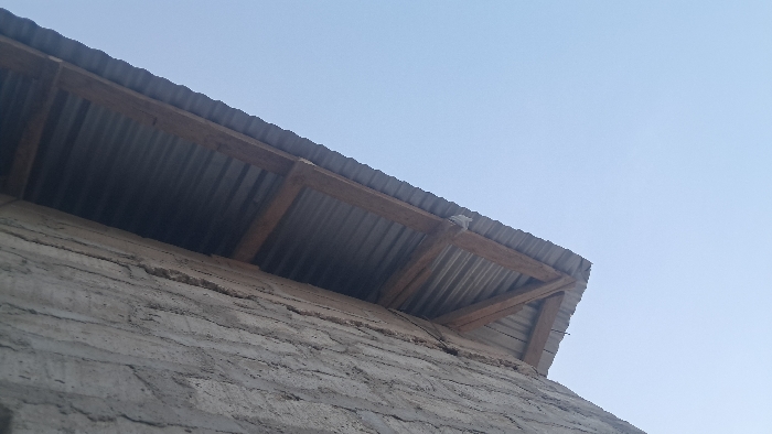 The image depicts the eave and a section of the exterior wall of a building in Walu, Kenya, viewed from a low angle looking upwards. The left portion of the frame shows a light grey, textured wall, possibly composed of rough stone or concrete blocks with visible mortar lines. Extending from this wall, a roof overhang is visible, constructed with a dark brown wooden framework supporting corrugated metal sheets, which appear dark grey and ribbed from below. A small, white, indeterminate object is caught on the edge of the roof overhang. The upper right portion of the image displays a clear, light blue sky. No individuals, specific actions, or interactions are present in the scene.