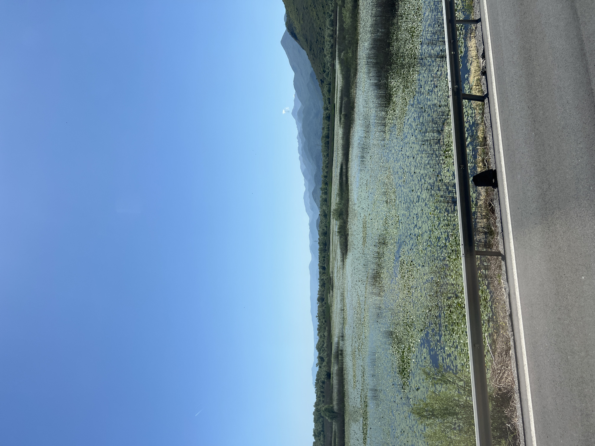 The image depicts a view of Lake Skadar from a roadside in Bistrice, Montenegro. The lake is covered with vegetation, primarily lily pads and aquatic plants. In the background, mountains are visible. A road with a gray asphalt surface and a metal guardrail runs along the right side of the image. The sky is clear and blue. There are no visible people or subjects.