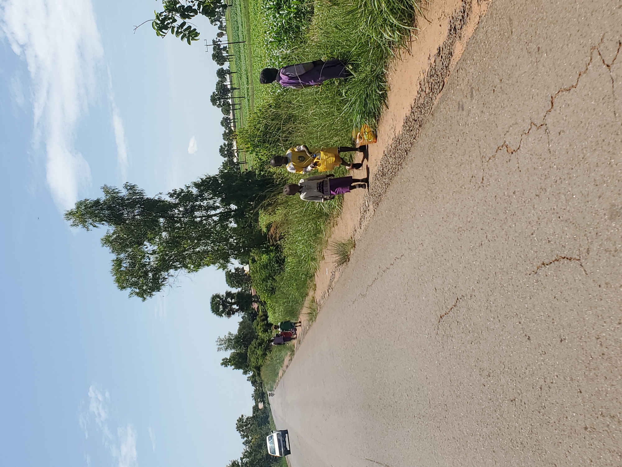 The image depicts a rural scene in Mangu, Nigeria, with a paved road running through a landscape of lush green fields and trees under a clear blue sky with scattered white clouds. Three children are walking along the side of the road, on a dirt path next to the pavement. The child closest to the camera is wearing a purple skirt and a grey top. Next to them is a child in a yellow shirt and shorts, carrying a yellow bag. Another child further up the road is wearing a purple garment. In the distance, a white car is driving away from the camera on the road. The presence of crops suggests an agricultural setting, and the clear sky indicates it is daytime, likely sunny. The children appear to be walking together, possibly going somewhere or returning home. The overall impression is one of everyday life in a rural African environment.