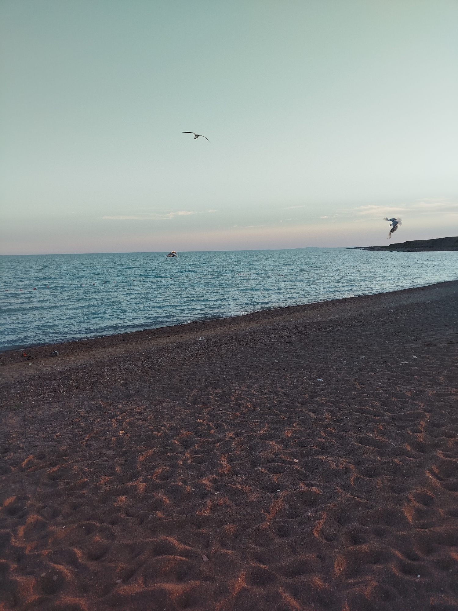 A beach with dark sand and calm blue water is in the foreground. The sky is a pale blue, with a few wispy clouds near the horizon. Three seagulls are flying in the sky. The scene appears to be a beach on a calm day, possibly at sunset or sunrise given the lighting.