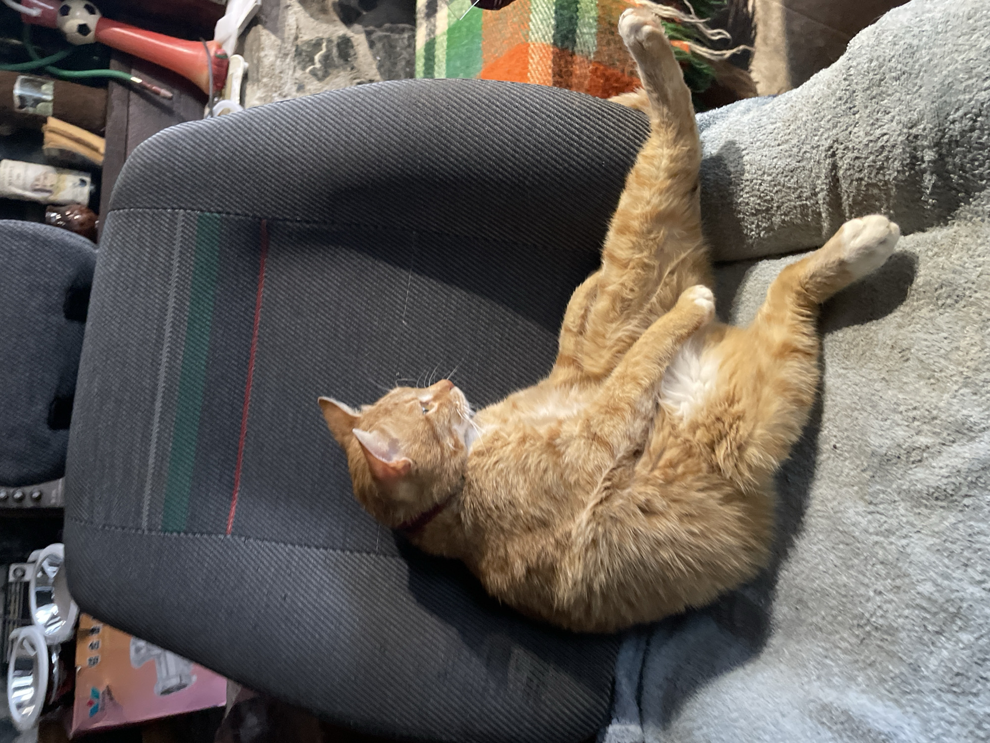 An orange tabby cat is sitting on a grey fabric seat with its legs splayed out. The cat is facing to the right of the image and looking away. The seat appears to be a car seat. Behind the seat, there are various objects, including what looks like a shelf with a few items on it. The environment suggests an indoor setting, possibly a garage or a workshop. There are no people visible in the image.