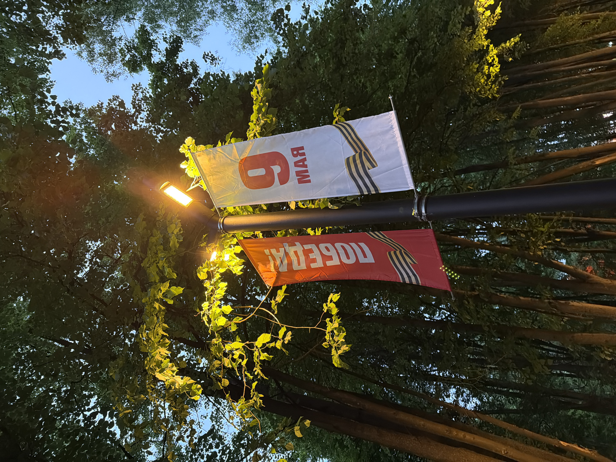 The image shows a low-angle view of a street scene at dusk or night, likely in a park setting. The location is probably in the city of Dolgoprudny, Russia, based on the context provided. A black lamp post is visible in the center of the image, with two flags attached.
The top flag is white with red lettering that appears to say "9 MAY," likely referring to May 9th, Victory Day in Russia. A black and orange ribbon, known as the Ribbon of Saint George, a Russian military symbol, is also featured on the flag. The bottom flag is red with white lettering that reads "ПОБЕДА!" (Victory!). The same Ribbon of Saint George is also on this flag.
A light is attached to the pole and is illuminated. Green trees and foliage surround the lamp post and flags, partially obscuring the view of the sky. The sky is a light blue color, indicating either the beginning or end of twilight.