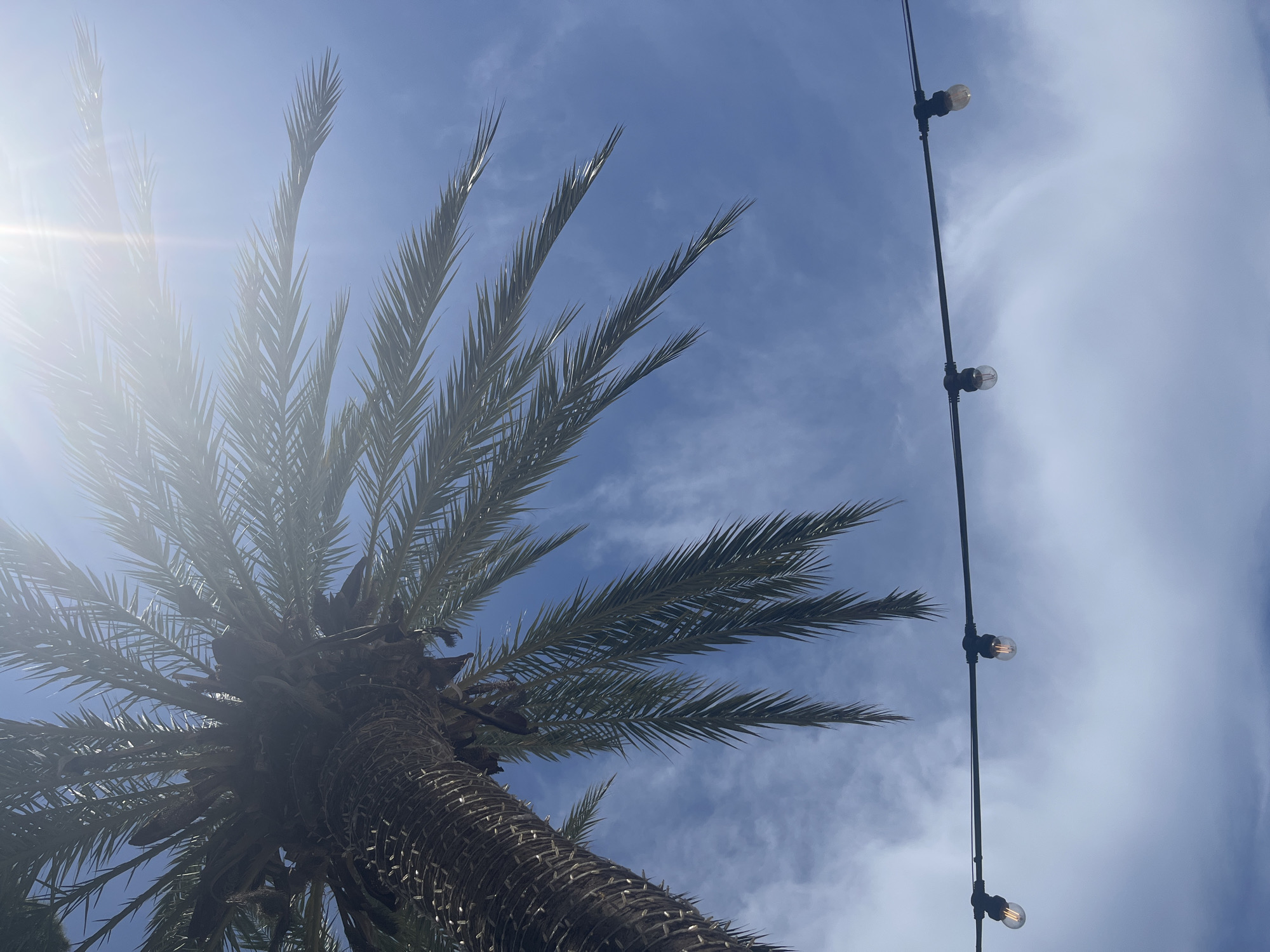 A low-angle shot under a palm tree, looking up at a partly cloudy sky, and a string of lights. The string has four visible bulbs. The palm tree is in the lower left corner. This could be in Teulada, Spain.