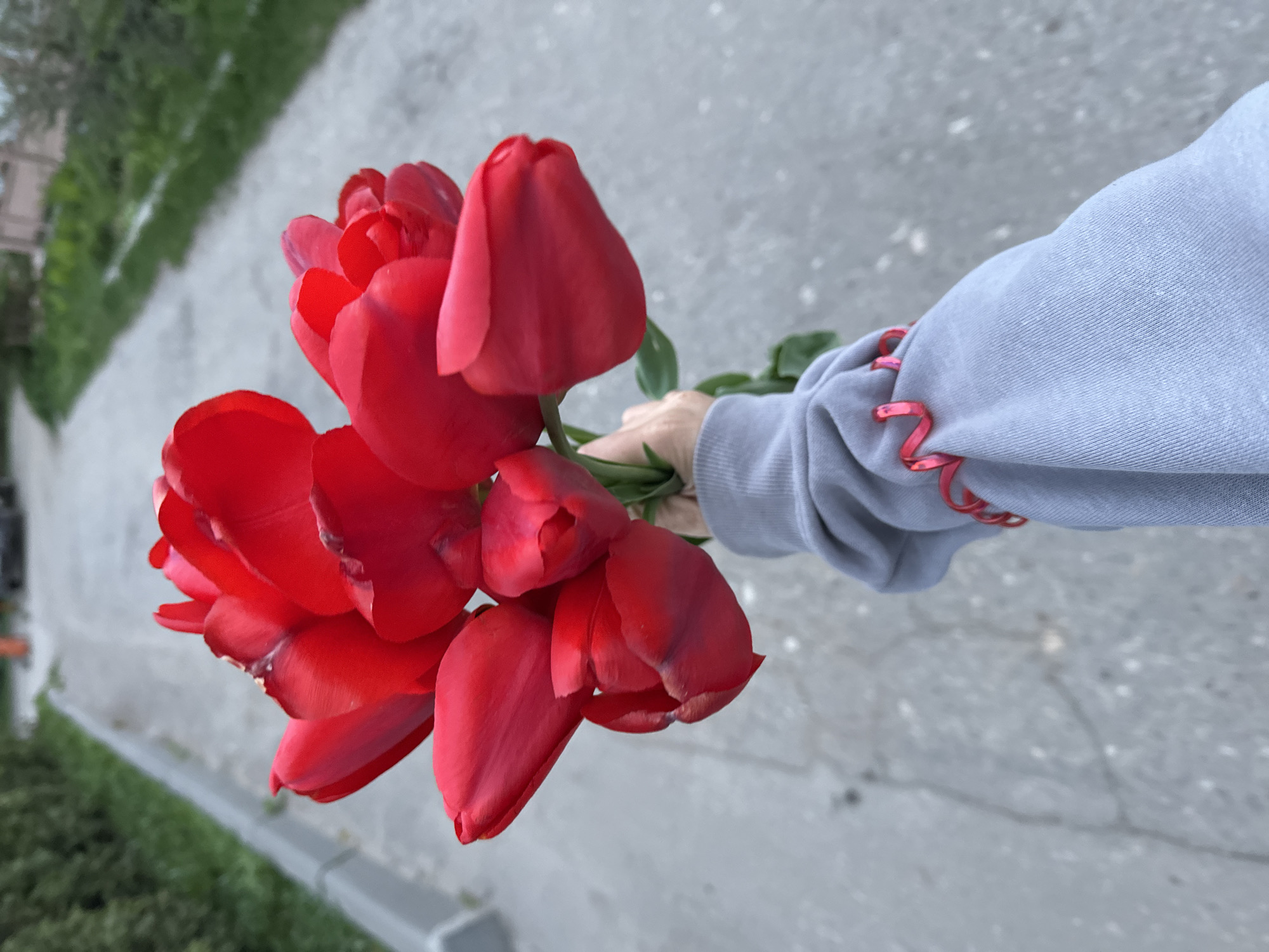 A person in a light gray long-sleeve shirt holds a bouquet of six red tulips in their hand, extending their arm towards the right side of the frame. The tulips are in full bloom, and their leaves are visible. The person stands on a gray paved surface, likely a sidewalk or street. In the background, greenery and a building with beige walls are visible, suggesting an urban environment. The photograph was taken outdoors, likely in the city of Nizhny Novgorod, Russia.