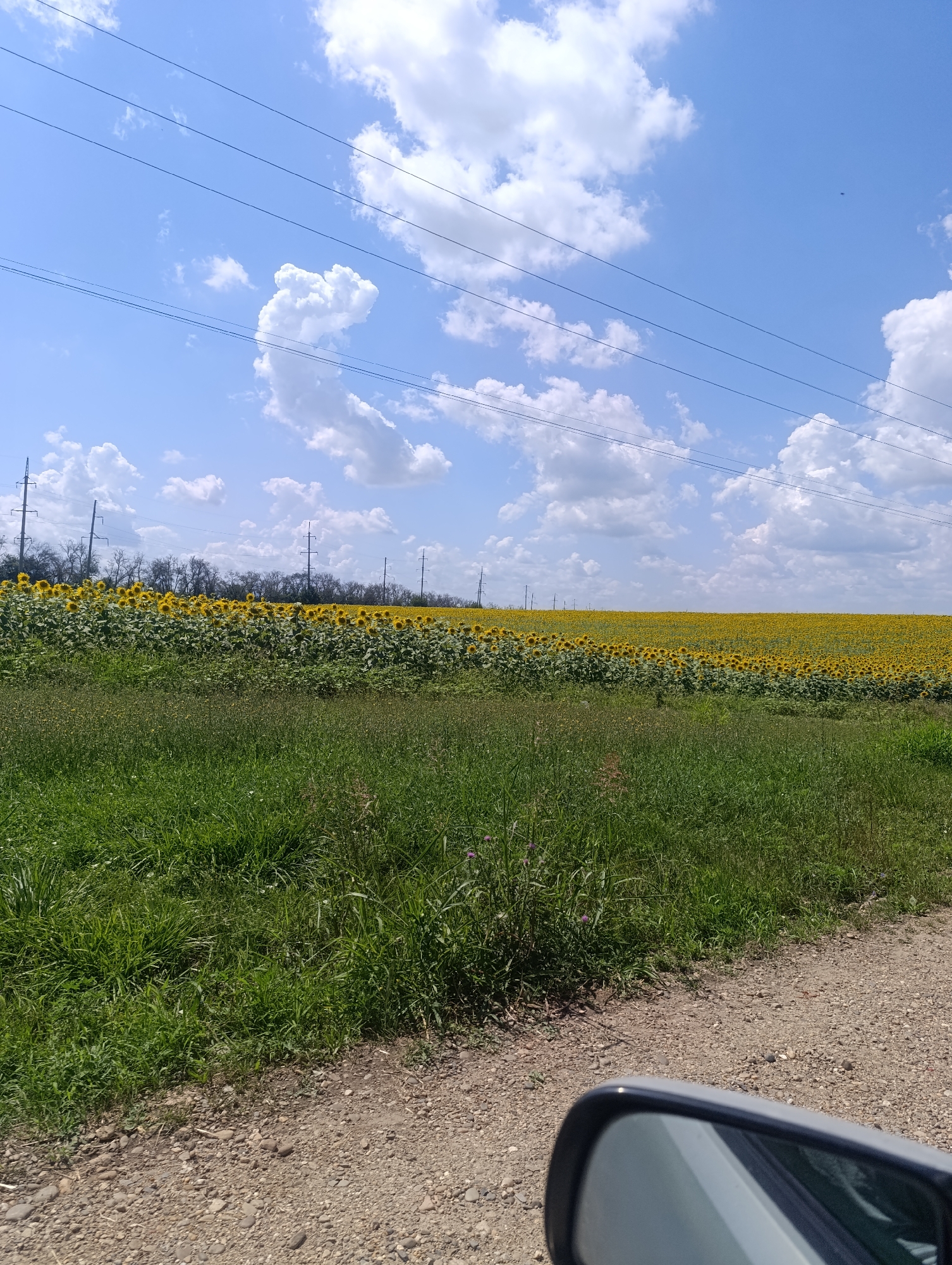 The image depicts a vast field of sunflowers stretching towards the horizon under a bright blue sky dotted with white, puffy clouds. Power lines crisscross the sky, supported by tall, skeletal pylons visible in the distance. In the foreground, a gravel road meets a patch of vibrant green grass. The perspective suggests the photo was taken from a vehicle, with a portion of a gray side-view mirror visible in the bottom right corner. The scene appears to be located in the countryside, possibly near Zaliznyi, Russia, given the presence of sunflowers, a common crop in the region, and the characteristic landscape. There are no people or animals visible in the image.