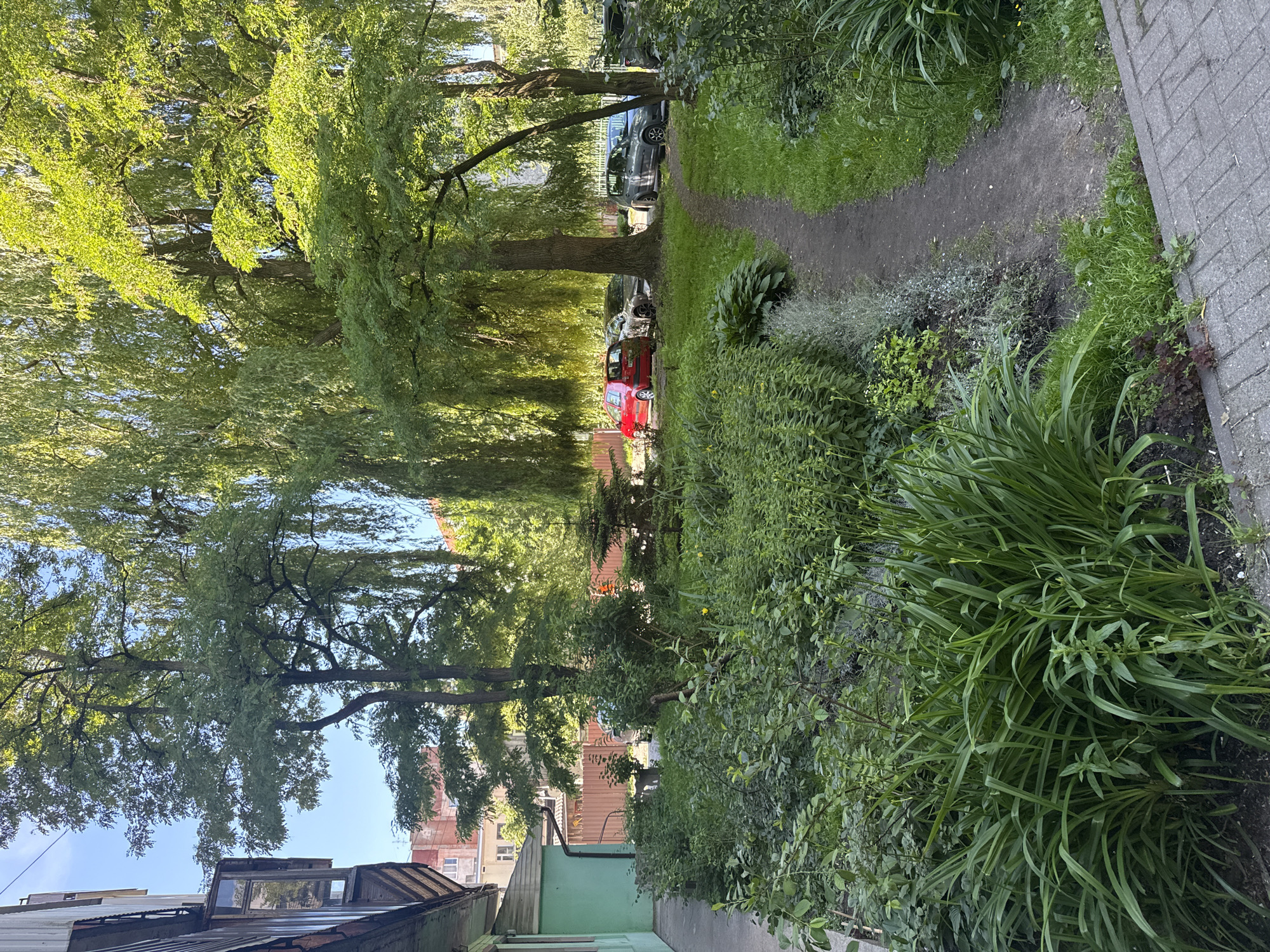 This is a photograph of a courtyard in an urban environment, likely in a residential area, given the presence of cars parked near a building with an open window. The courtyard is densely planted with a variety of green foliage, including trees, shrubs, and ground cover. A narrow dirt path winds through the vegetation, leading toward the parked cars and a fence in the background. The building on the left is constructed of brick and has a green-painted facade and a wooden balcony or window frame. The sunlight filters through the trees, creating dappled light and shadows on the ground. The overall impression is one of a somewhat overgrown but peaceful urban green space.