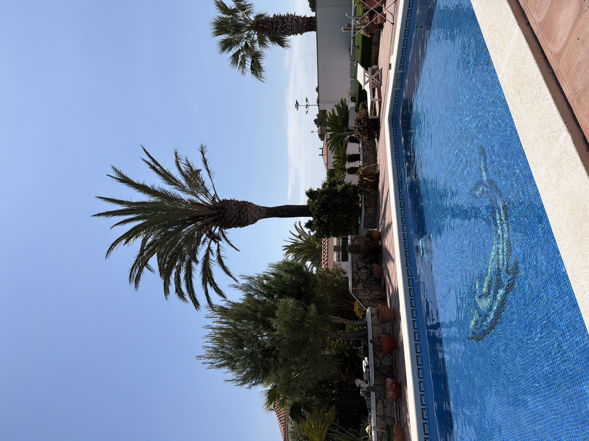The image depicts a scene in Mont-roig del Camp, Spain, featuring a swimming pool with blue mosaic tiles, bordered by a white concrete edge and a terracotta-tiled patio. The pool contains a mosaic design of a sea creature, possibly a dolphin or fish. Along the pool's edge are various potted plants and shrubs. In the background are palm trees and a white building. The sky is clear and blue. There are no people visible in the image.