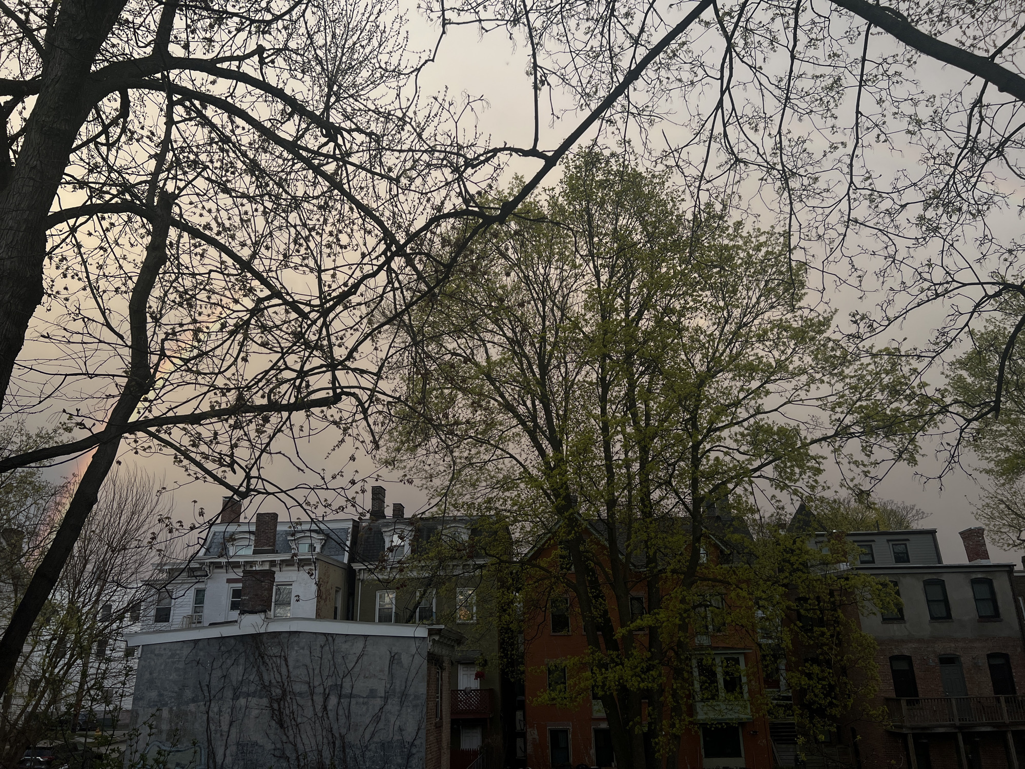 The image depicts a cityscape in the City of Newburgh, United States of America. The scene is viewed from a high angle, likely from an elevated position such as a building. The sky is overcast, with an orange hue. In the foreground, bare tree branches are silhouetted against the sky. Below the tree line, several buildings are visible, including houses and apartment buildings. Some of the buildings are brick, while others are painted. The buildings are in close proximity to each other, suggesting a densely populated urban area. The overall scene suggests a quiet, residential neighborhood.