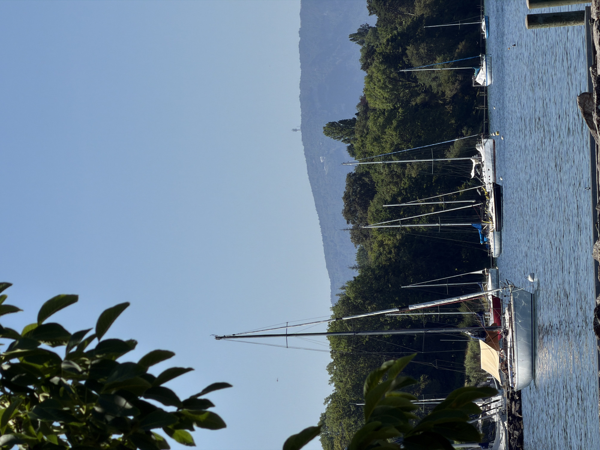 The image depicts a sunny day on Lake Geneva, near the town of Hermance, Switzerland. In the foreground, a light-colored sailboat with a tan canopy is anchored in the blue water. Behind it, several other sailboats are moored, their masts reaching towards the clear blue sky. A dense line of green trees forms the backdrop, with rolling hills and a distant tower visible on the horizon. The water is calm, with gentle ripples reflecting the sunlight. The scene conveys a sense of tranquility and leisure, characteristic of a lakeside resort.