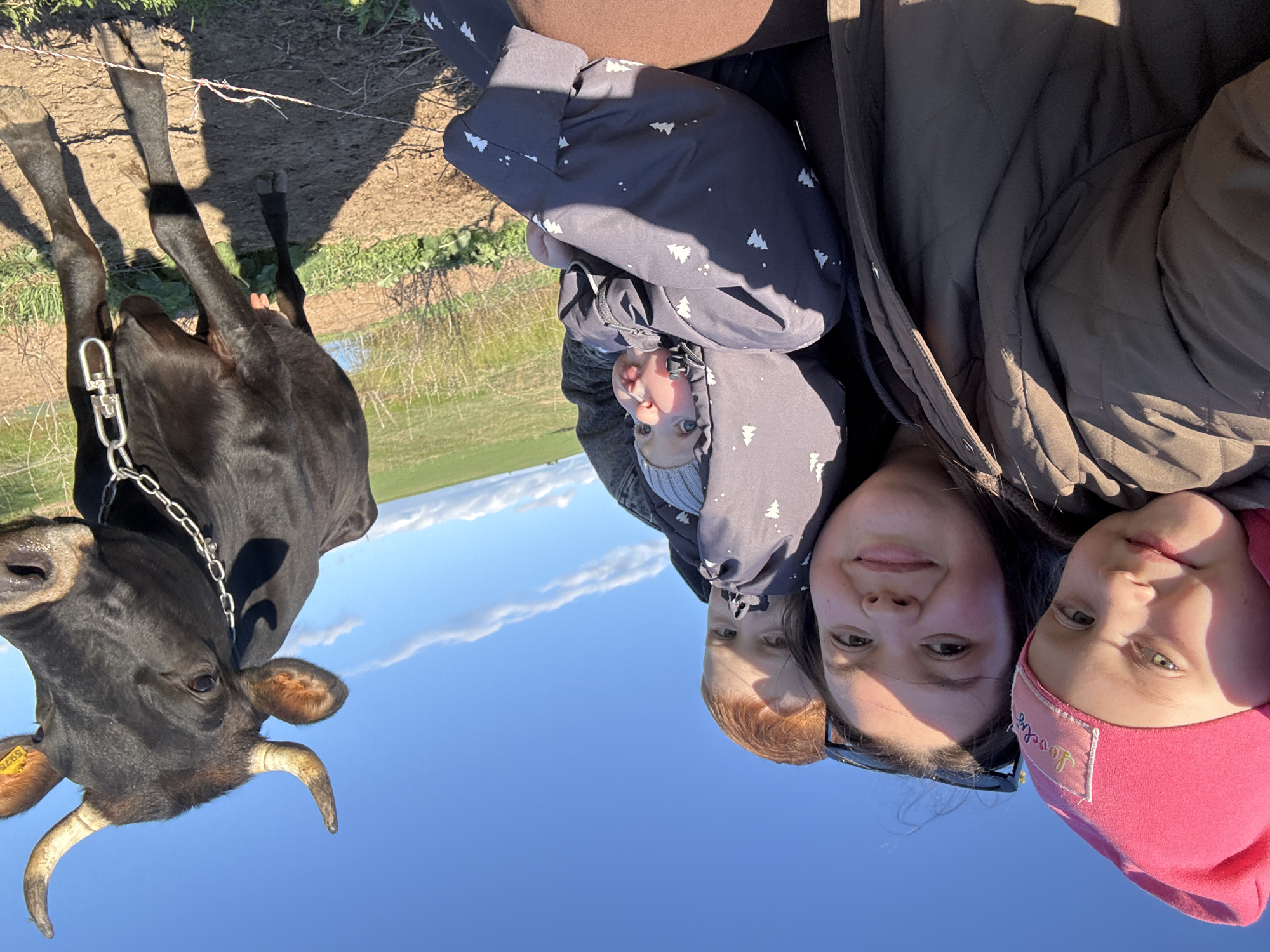 The image depicts a selfie of a woman with three children and a black cow, likely taken in an outdoor, rural setting near Lukintsy, Russia. The cow, which has a yellow ear tag with numbers and a chain leash, stands to the left. The background features a blue sky, a horizon line with green fields, and a small stream. The image is rotated, so the horizon line appears vertical.