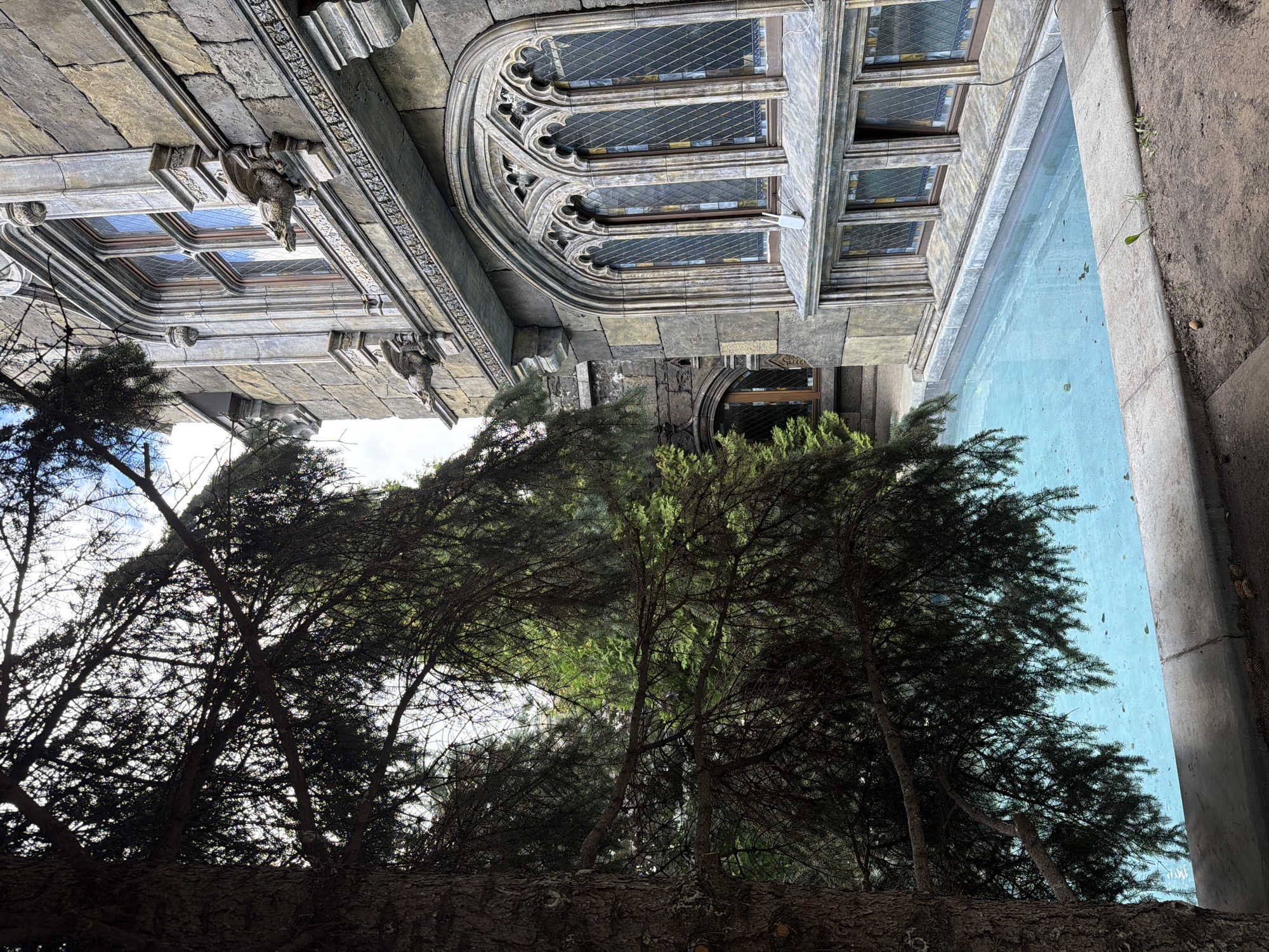 The image depicts the exterior of a gothic-style building, likely part of the "Angelica" castle complex in Khryashchevka, Russia. In the foreground, a large evergreen tree with dark foliage partially obscures the view. A bright blue rectangular swimming pool runs along the base of the building, its surface reflecting the sky and surrounding elements.
The building itself is constructed from stone blocks, with intricate architectural details. A large, arched window with diamond-shaped panes and ornate stonework dominates the right side of the image. Above this window, a smaller rectangular window is visible, flanked by decorative gargoyles. Below the arched window, a series of smaller, rectangular windows are set into the facade, appearing to be part of a lower level or an interior space. A light-colored object, possibly a Wi-Fi router, is visible on the windowsill of the arched window.
The background reveals more of the castle structure, including another arched doorway and windows, as well as other evergreen trees. The sky is partly cloudy, with patches of blue. The ground in the foreground appears to be a mix of soil and gravel. The overall scene suggests a well-maintained outdoor area adjacent to a historic or fantasy-themed architectural site.