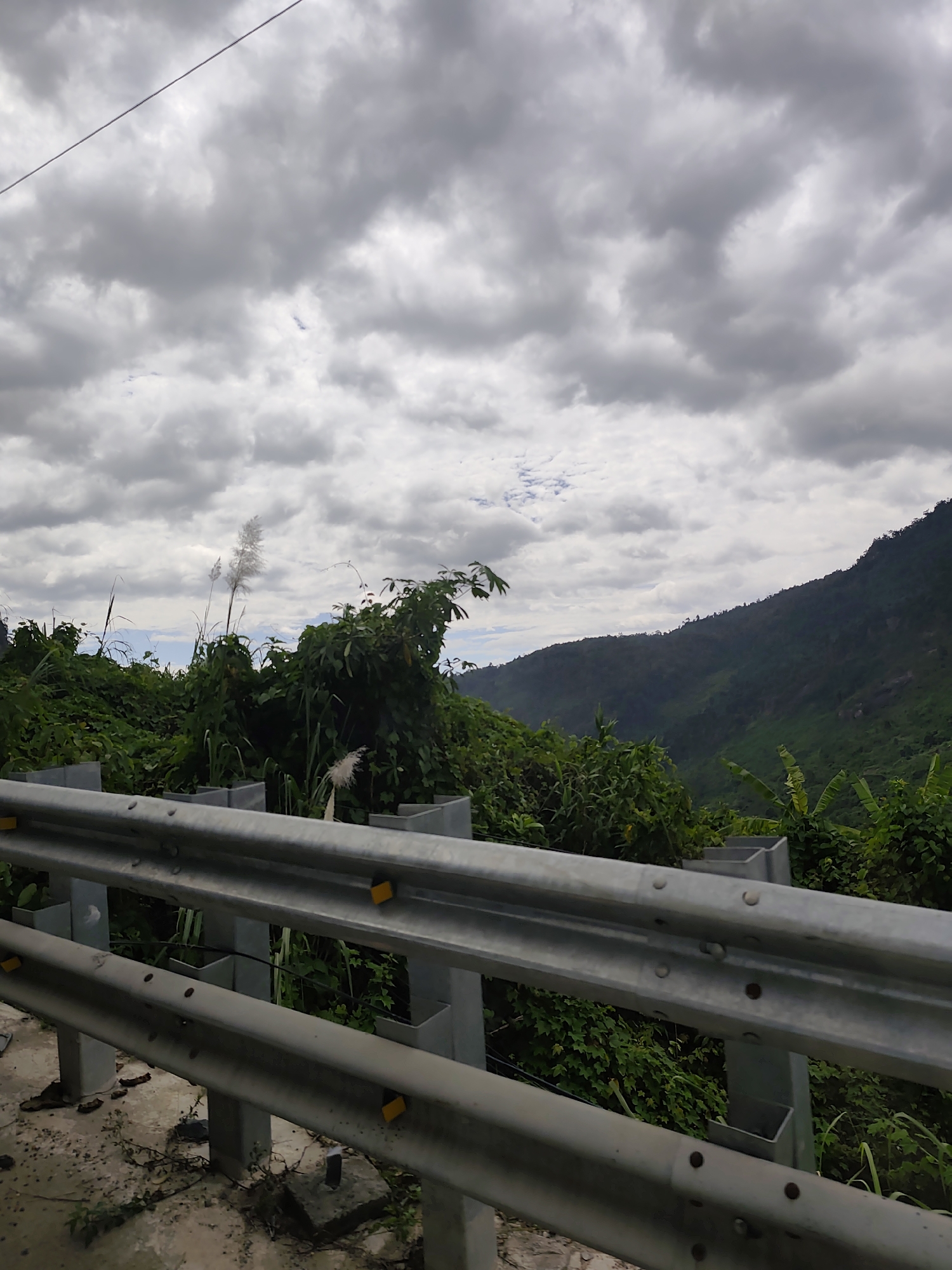 The image captures a scenic view from a roadside guardrail looking towards a lush, green mountainside under a cloudy sky. The guardrail, made of metal and supported by concrete posts, occupies the foreground. Beyond it, dense vegetation, including tall grasses and various leafy plants, covers the lower slopes. The mountain itself is a dark green expanse, rising towards the horizon. The sky is filled with heavy, grey clouds, suggesting an overcast or impending rainy day. No people or animals are visible in the frame. The environment appears to be a rural or natural setting, likely a mountain pass or a road winding through a hilly region.