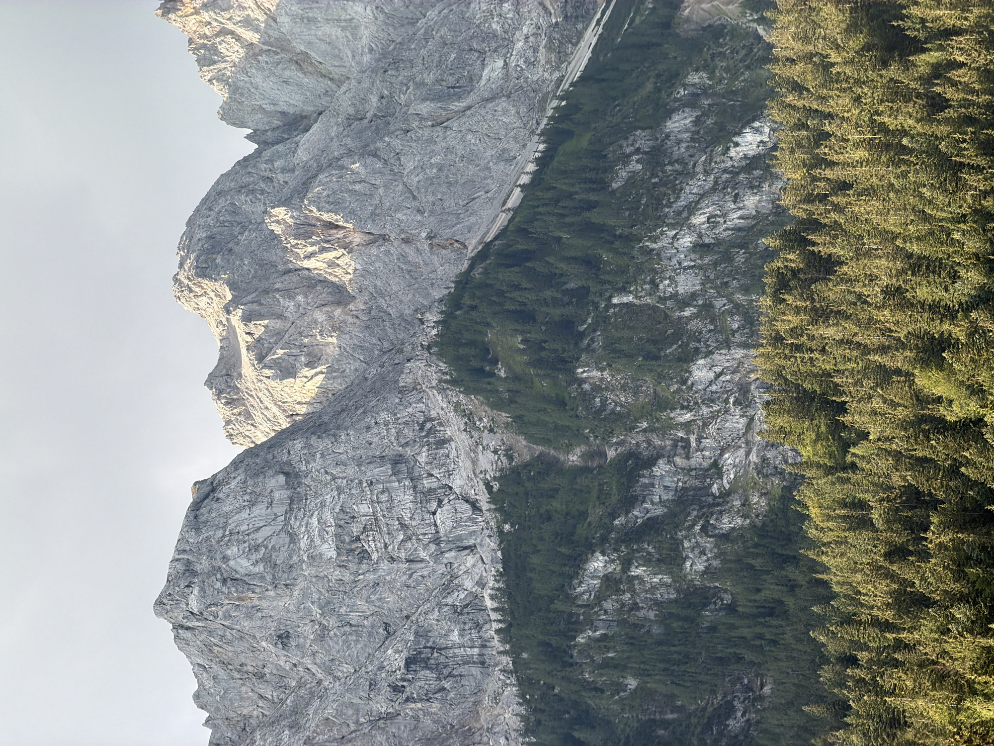 The image captures a majestic mountain range with a clear sky above. The mountains are characterized by their rugged, gray rock faces, some of which are illuminated by sunlight, highlighting their textured surfaces and deep crevices. A dense forest of green pine trees covers the lower slopes of the mountains, creating a stark contrast with the barren rock above. The trees are tightly packed, forming a verdant carpet that extends upwards towards the rocky peaks. Some lighter colored scree slopes are visible between the forest and the higher rocky sections. The overall impression is one of natural grandeur and wilderness. This scene is a depiction of the Zugspitze massif, visible from Grainau, Germany.