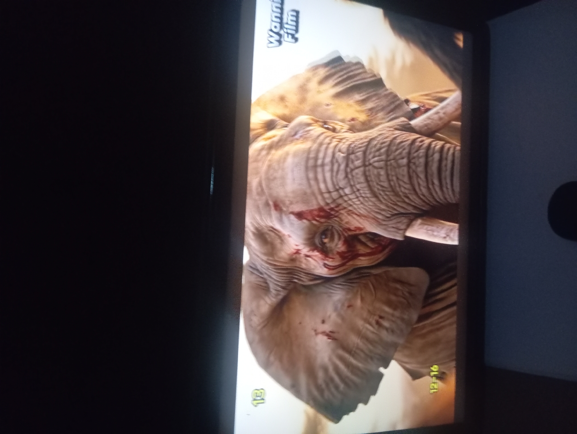 The image is of a television screen showing a close-up of an elephant's head. The elephant appears to have injuries around its eye. The text "Wannin Film" is visible in the upper left corner of the screen. There are also small green numbers "13" and "12:16" visible on the screen. The TV is located indoors, next to a wall with a dark object on it. There is no visible evidence indicating this image was taken in Nkpor, Nigeria.