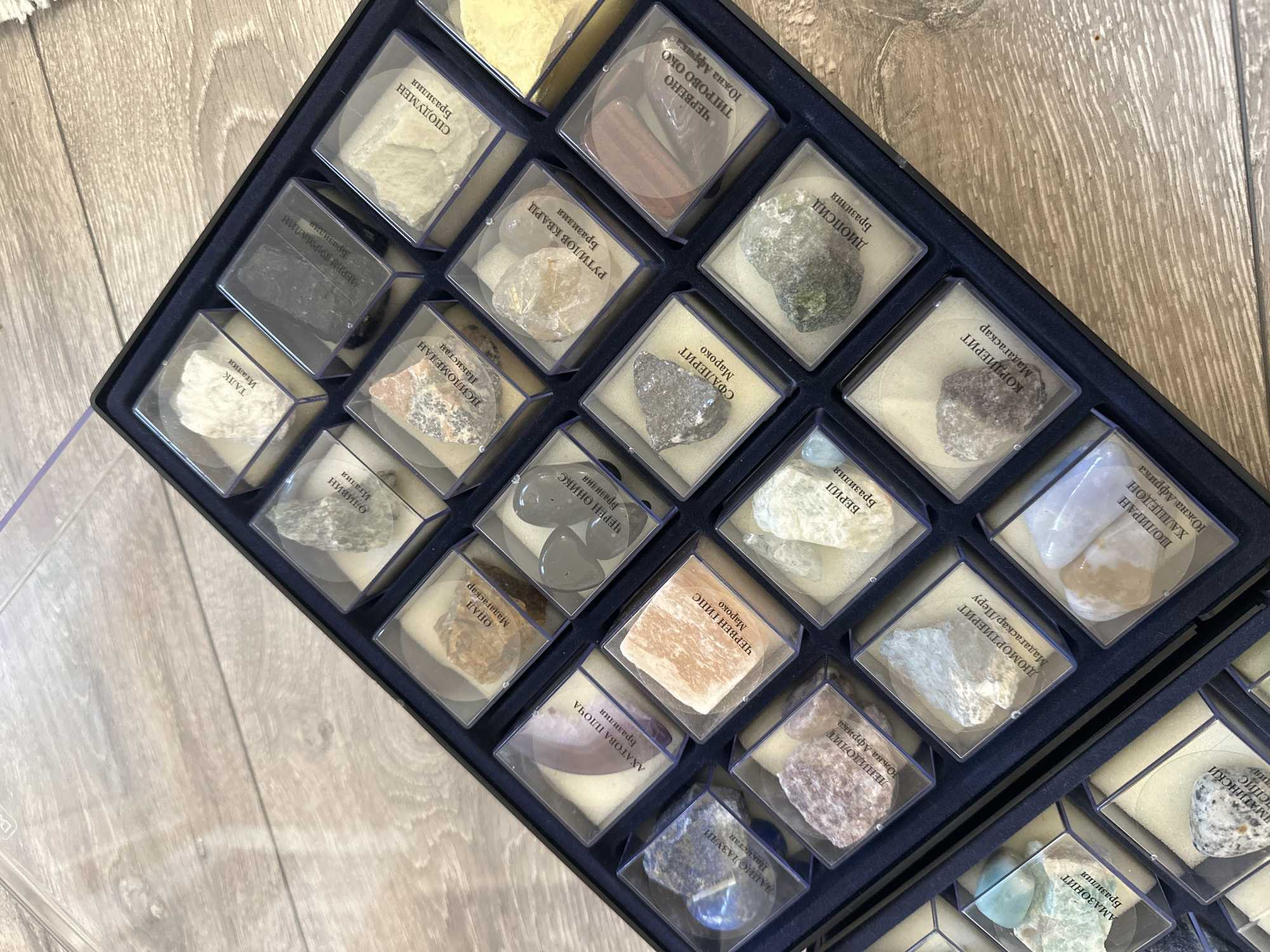 The image shows a collection of rock and mineral samples, each encased in a small, clear plastic box, organized in a dark blue, possibly velvet-lined, display case. The samples vary in color and texture, ranging from light beige and gray to dark blue and black. Each box has a small label with Cyrillic text, likely identifying the mineral or rock and its origin. The collection appears to be indoors, resting on a light-colored wooden surface with a visible wood grain pattern. The scene lacks any specific characteristics that would allow it to be identified as being located in Sofia, Bulgaria, or any other specific city.