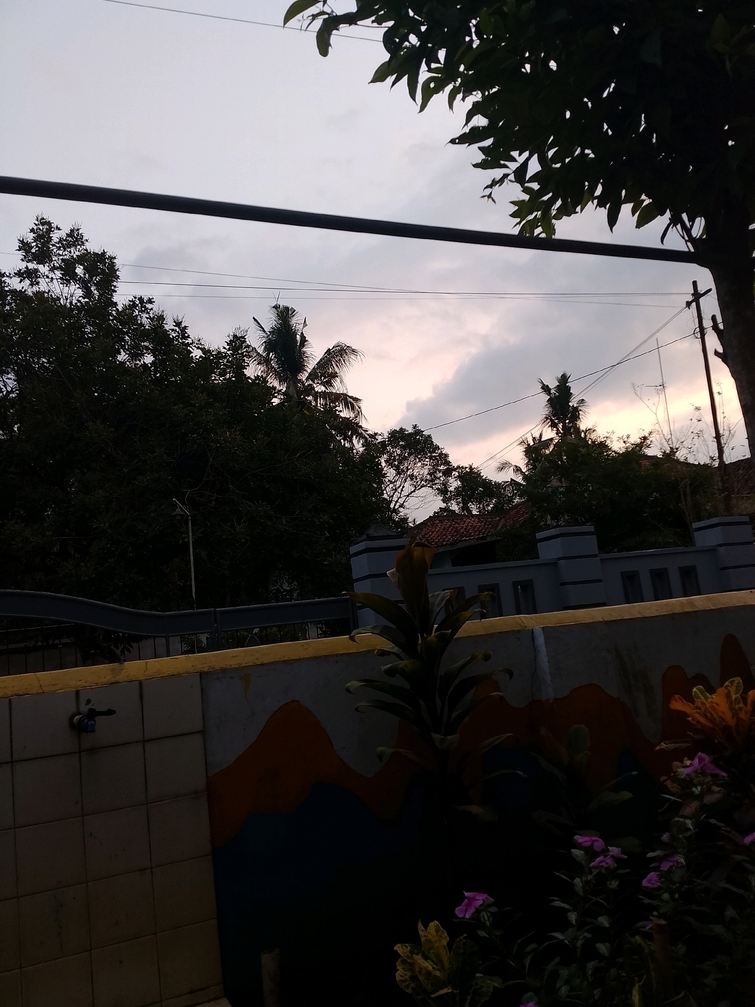 The image depicts an outdoor scene, likely in Gebang, Indonesia, during a dusky or cloudy period. In the foreground, a tiled wall with a yellow top edge is visible, featuring a blue-knobbed faucet on its left side. To the right of the tiled wall is a section of a concrete wall adorned with a mural of orange and blue mountain-like shapes. Various plants, including some with purple flowers, grow in front of this mural, some appearing dark and silhouetted.
Beyond the wall, a dark, dense line of trees dominates the middle ground, with palm trees interspersed. Above the trees, a grey sky with hints of light can be seen, crisscrossed by power lines and a horizontal metal bar. A portion of a tree with visible leaves is in the upper right corner. Further in the background, rooftops of buildings are partially obscured by the foliage, and a utility pole with wires is visible to the right. The overall impression is a view of a residential or garden area with overhead utility infrastructure, set against a muted sky. There are no people or animals present in the image.