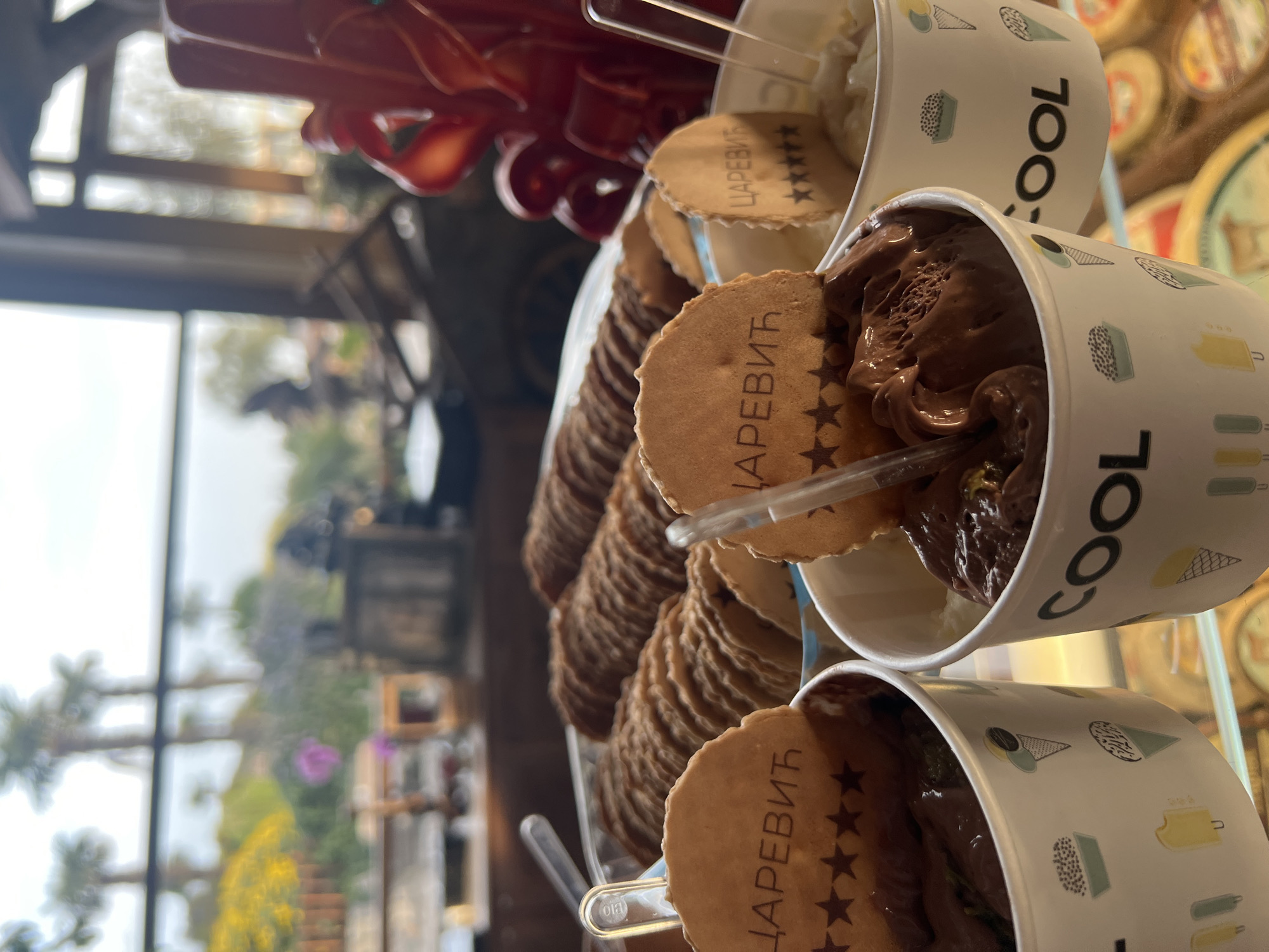 The image displays an inviting arrangement of ice cream cups on a clear stand, likely within a cafe or an ice cream parlor in Kovačko Polje, Montenegro. The scene is focused on several servings of gelato, primarily a rich, dark brown flavor that appears to be chocolate, with a hint of green, possibly pistachio, visible beneath. One cup in the background holds a lighter-colored ice cream, likely vanilla.
Each ice cream cup is garnished with a round, light brown wafer or cookie. These wafers are embossed with the Cyrillic text "ЦАРЕВИЋ" (CAREVIĆ) and a row of five stars, indicating a specific brand or delicacy. Clear plastic spoons are inserted into the ice cream, with one spoon handle clearly showing the small text "BIO."
The ice cream cups are white and decorated with a whimsical pattern of small, abstract illustrations, including ice cream cones and dotted rectangles. The word "COOL" is printed vertically in black letters on the side of the cups. Behind the prominent ice cream servings, multiple rows of additional wafers are stacked neatly on the display.
The background is softly blurred, revealing a large window through which natural daylight streams, suggesting it is daytime. Outside, there's a view of lush green foliage, some vibrant yellow and purple flowers, and indistinct structural elements. A reddish, partially visible object in the upper left corner could be part of the interior decor. The overall impression is a vibrant and tempting display of desserts.