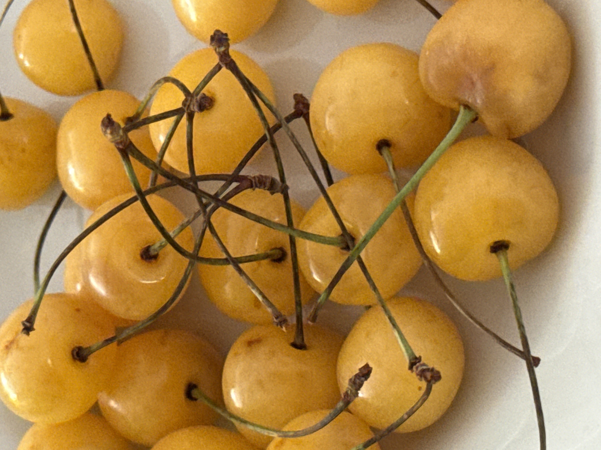 A close-up, overhead shot shows a pile of ripe yellow cherries with stems. The cherries are scattered across a white surface, and some stems are intertwined. The lighting is bright and even, highlighting the smooth skin and round shape of the fruit. The image is devoid of any human presence or urban elements, making it impossible to determine a specific location within Budva, Montenegro.
