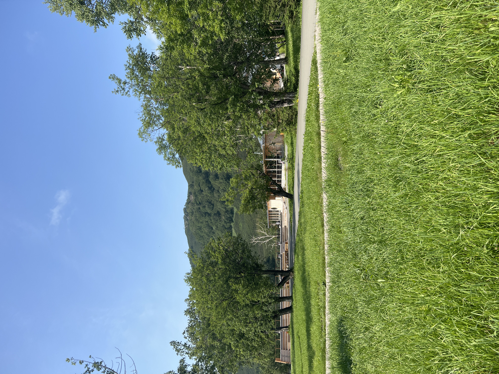 The image captures a sunny day in Paratunka, Russia, showcasing a modern wooden building complex nestled amidst lush greenery. The foreground is dominated by a meticulously manicured lawn, its vibrant green blades stretching towards a paved pathway that winds through the landscape. Beyond the lawn, a series of tiered wooden decks and benches suggest a communal gathering space. The main structures are characterized by their natural wood construction, with large windows offering glimpses of the interior. Tall, mature trees with dense green foliage stand sentinel around the complex, their branches reaching towards a clear, bright blue sky. In the background, rolling hills covered in verdant vegetation provide a scenic backdrop, underscoring the serene, natural setting of this location in Paratunka.