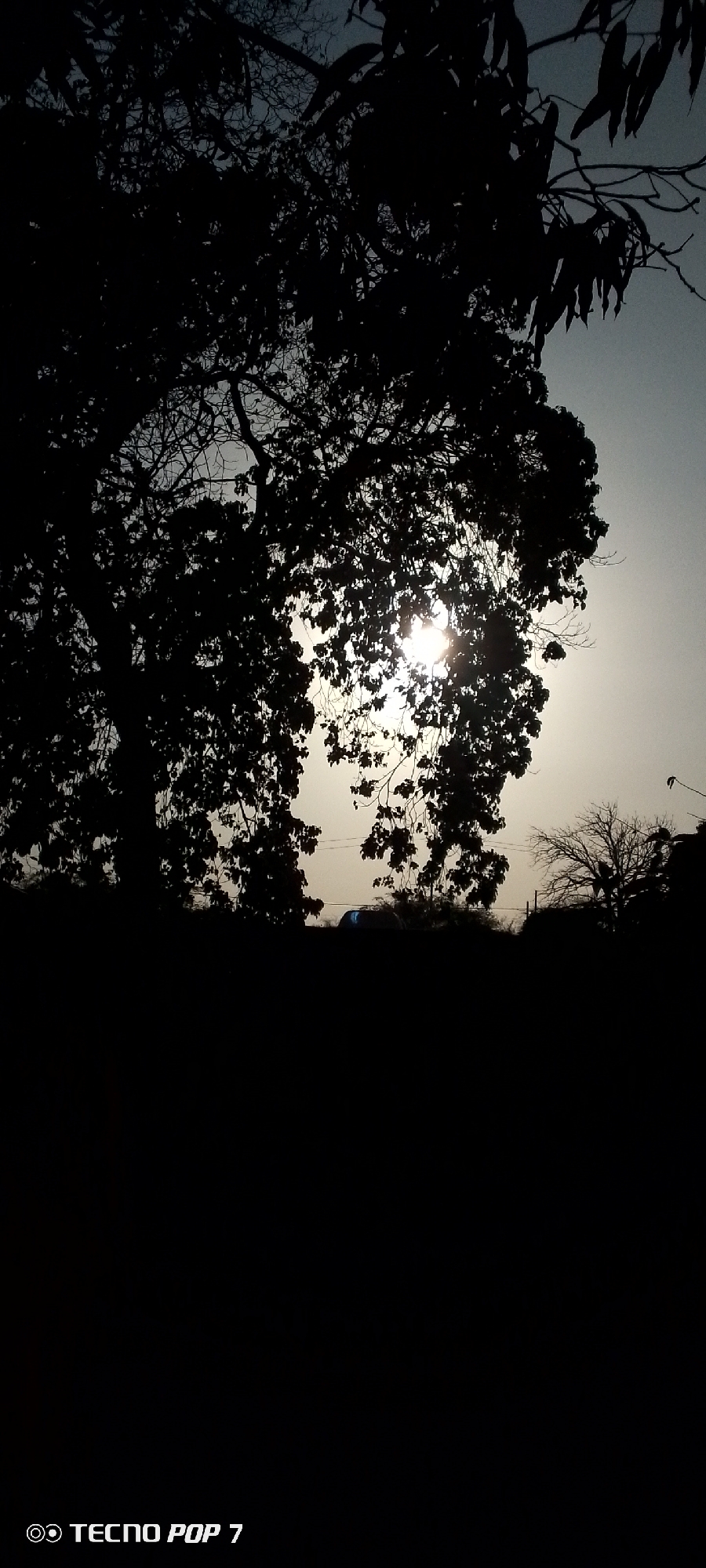 The image depicts a silhouette of trees against a bright sky, likely during sunset or sunrise. The sun is partially obscured by the leaves of the trees, creating a glowing effect. The foreground is dark, making it difficult to discern details. The location is unknown.